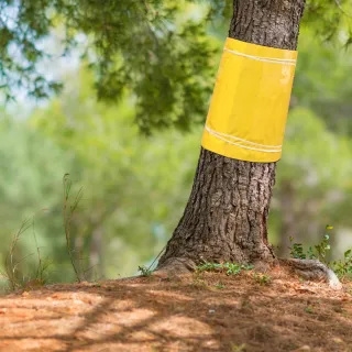 25 Cm X 10 M Tree Protection Sleeve For Fruit Trees, Tree Trunk Protection, Self-Adhesive Trunk Sleeve For Garden Plants, Weather-Resistant Tree Protection Film For Fruit Trees, Pr