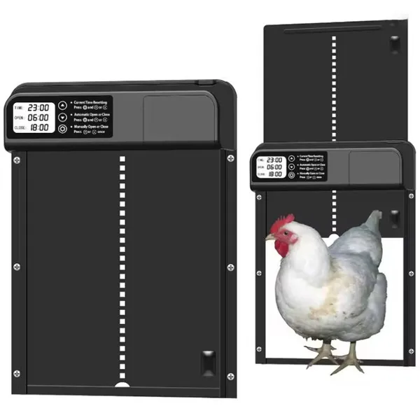 Automatic Chicken Coop Door, Electric Poultry Opener With Solar Option, Aluminum