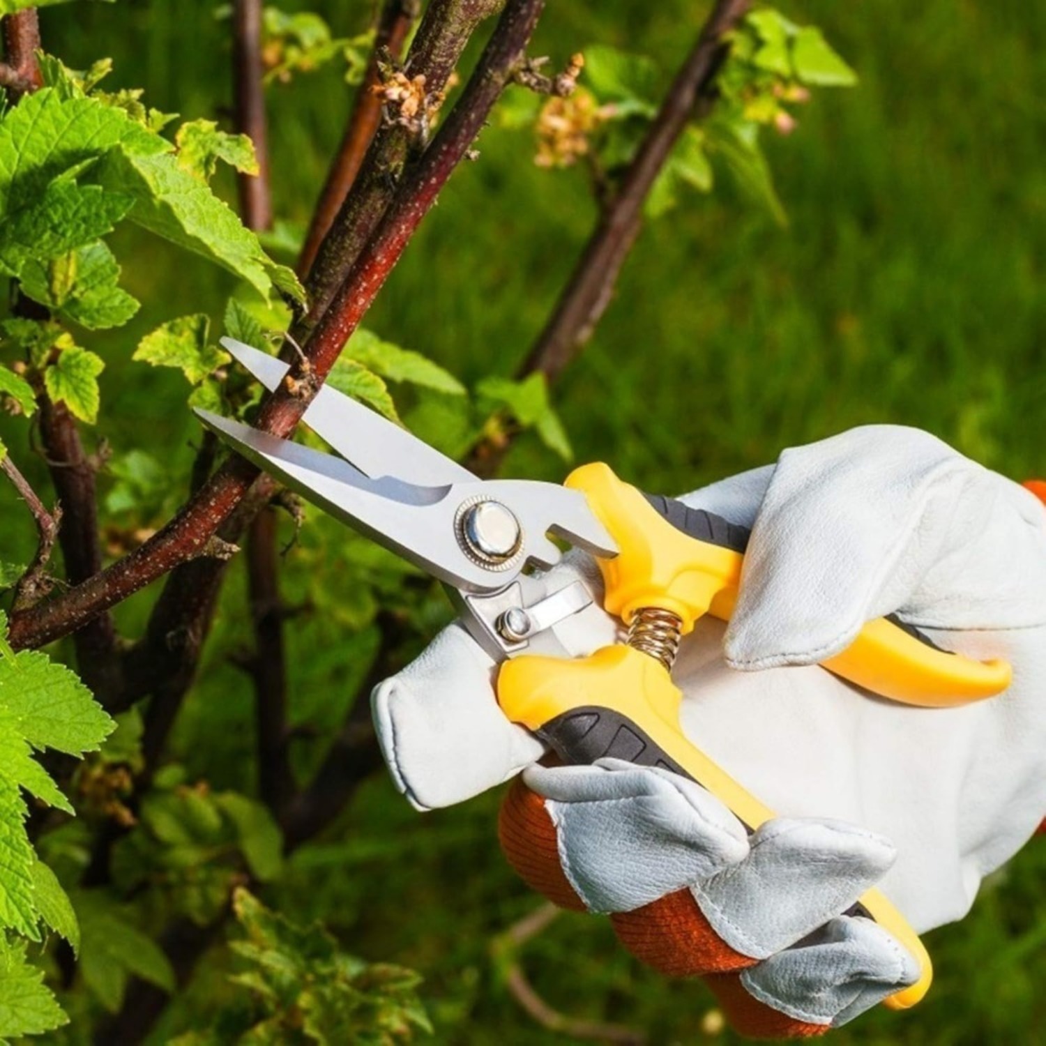 3-Piece Pruning Shears Set, picture 2 of 3