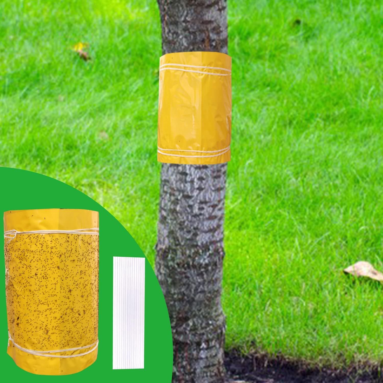 Tree Protection Set – 25 Cm X 5 M Sturdy Protection For Tree Trunks In The Garden And Outdoor Areas – Gardening Tools