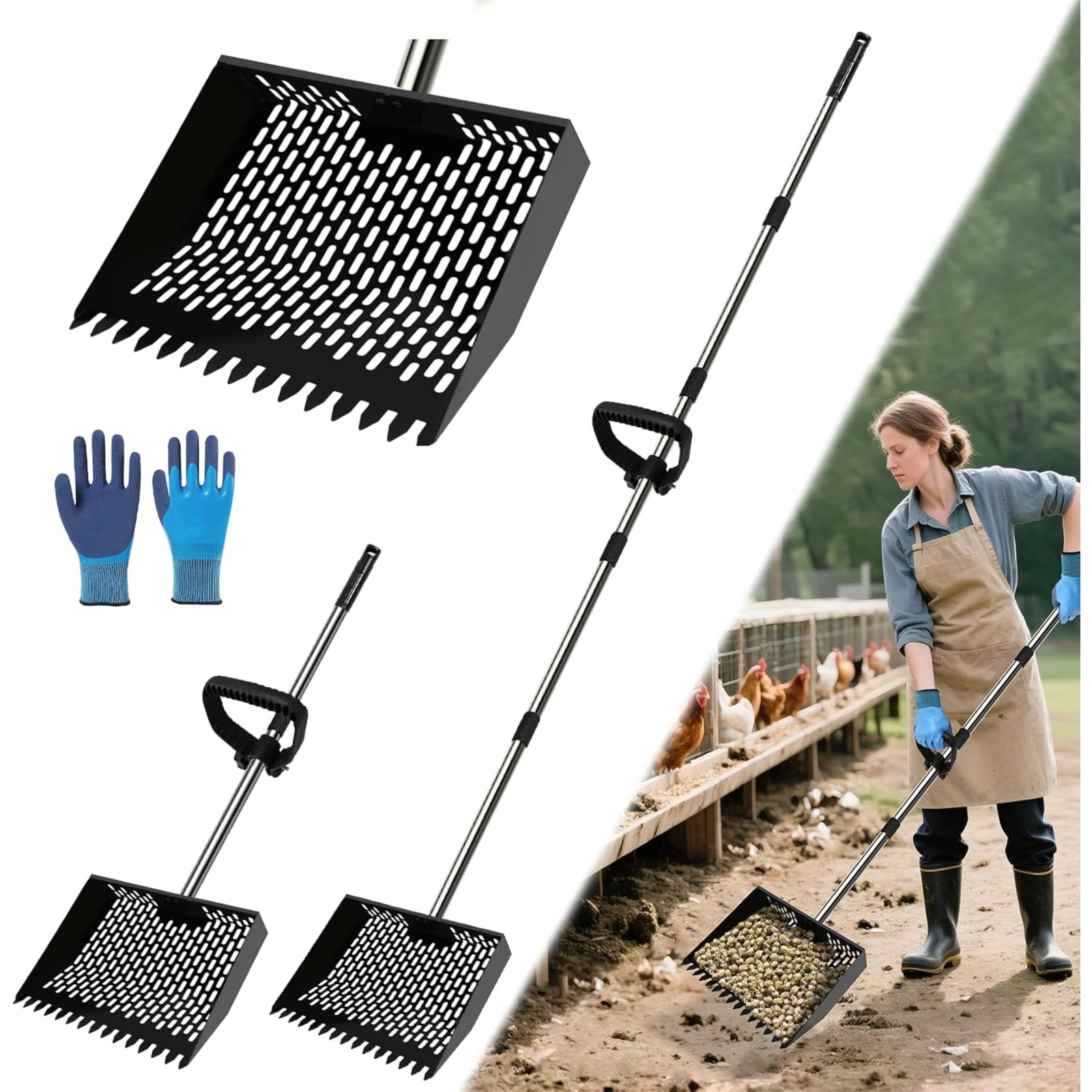Stainless Steel Chicken Coop Manure Scoop With Adjustable Handle, 1 Piece. Combines A Chicken Manure Scoop And Rake In One Tool For Removing Poultry And Pet Droppings,for The Farm, Garden, And Yard.