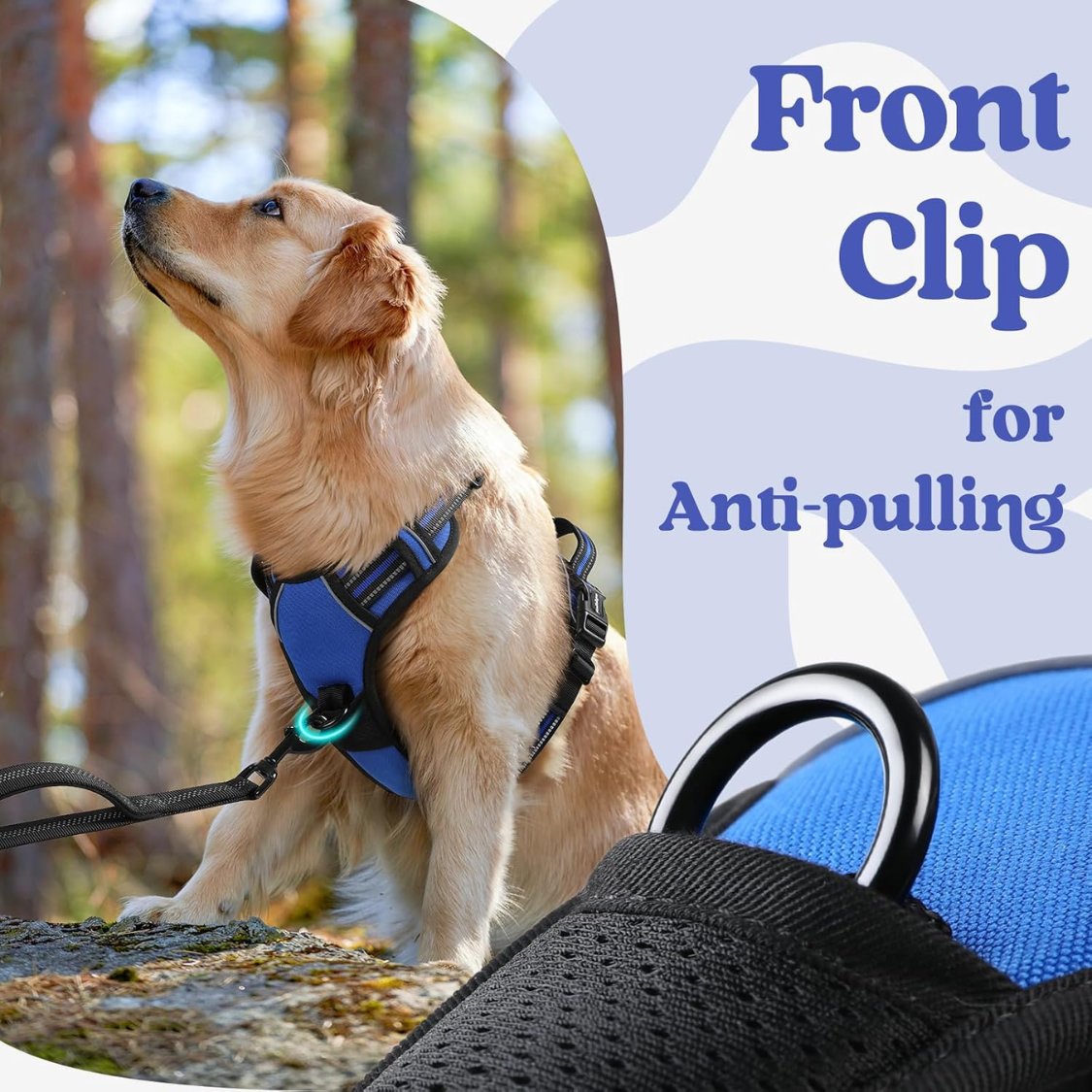 Harnais pour chien de grande taille, sans traction – Image 2