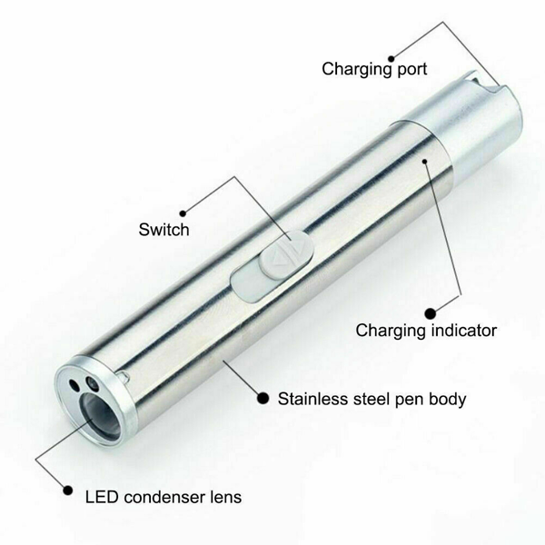 3 In1 1mw USB Rechargeable Pet Toy Pen Flashlight Red Laser Beam UV Light 3-Modes Lamp