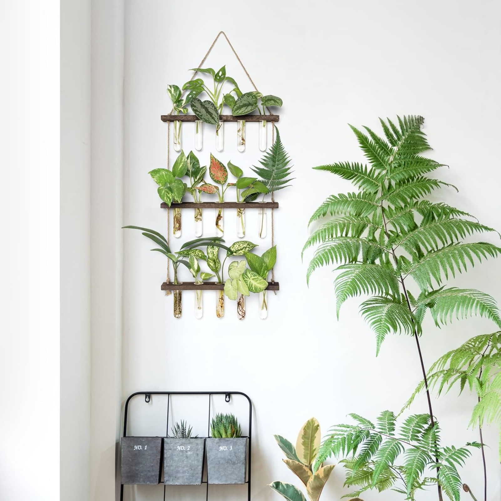 Three-Tier Hanging Plant Rack Set, picture 2 of 2