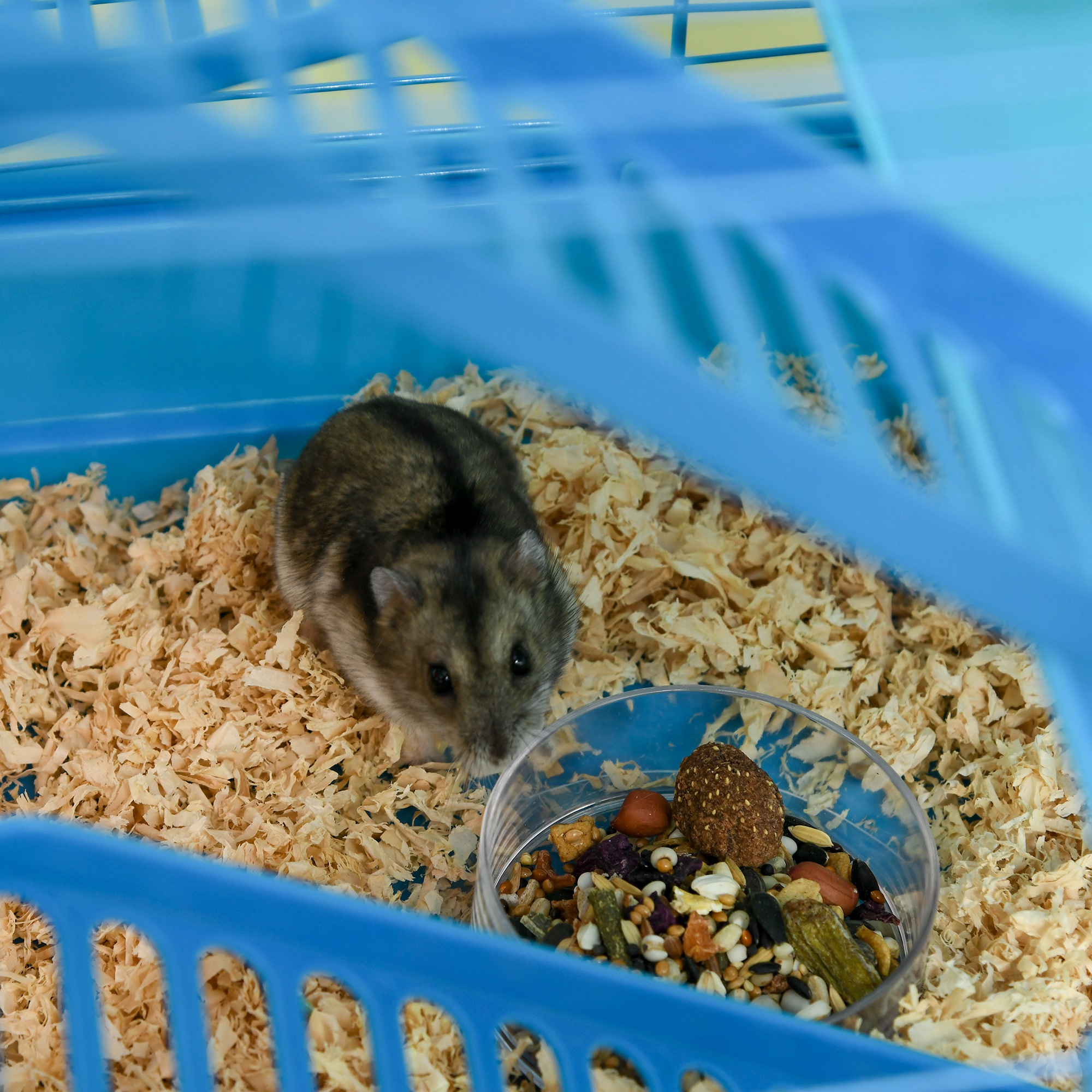 5 Tier Hamster Cage Carrier Habitat With Exercise Wheels Tunnel Tube Water