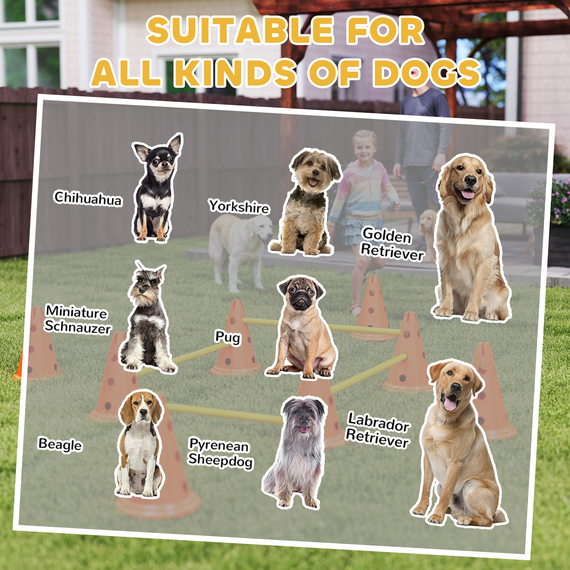 Dog Agility Equipment Set Of Eight Cones,Eight Poles W/ Carry Bag,Four-Piece — image 3