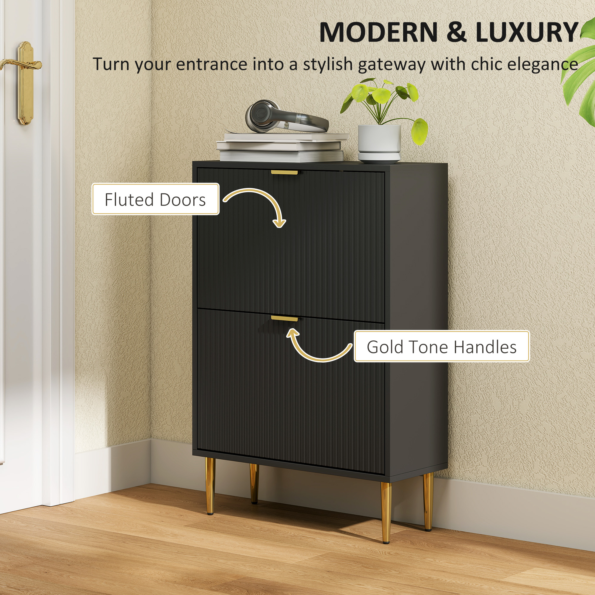 Elegant Two-Drawer Shoe Cabinet-Black