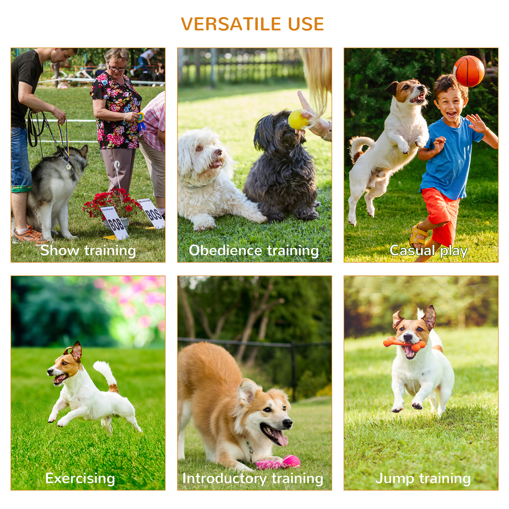 Dog Agility Equipment Portable Pet Training Obstacle Set For Dogs 5 Pieces W — image 2