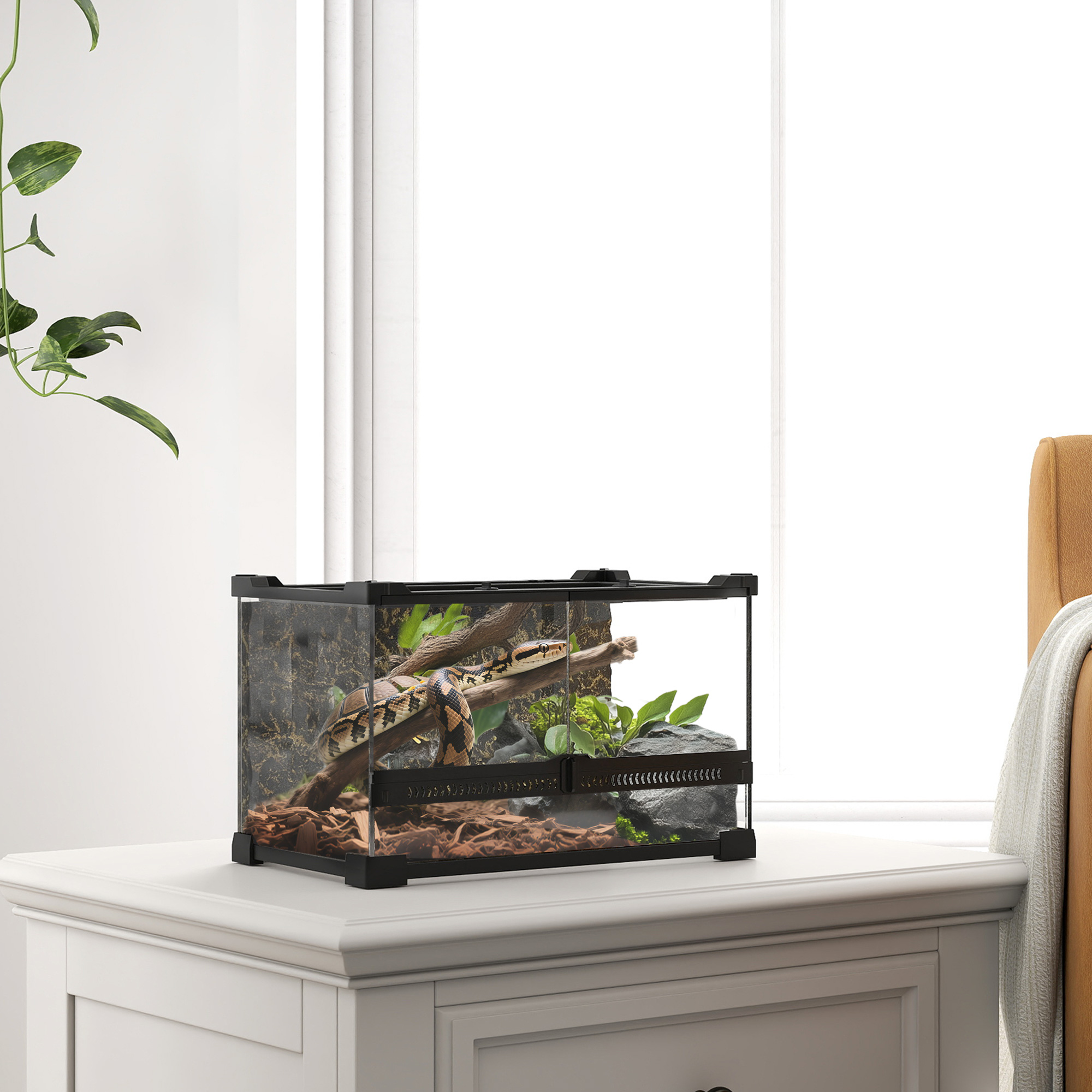 Reptile glass terrarium with stone background,front