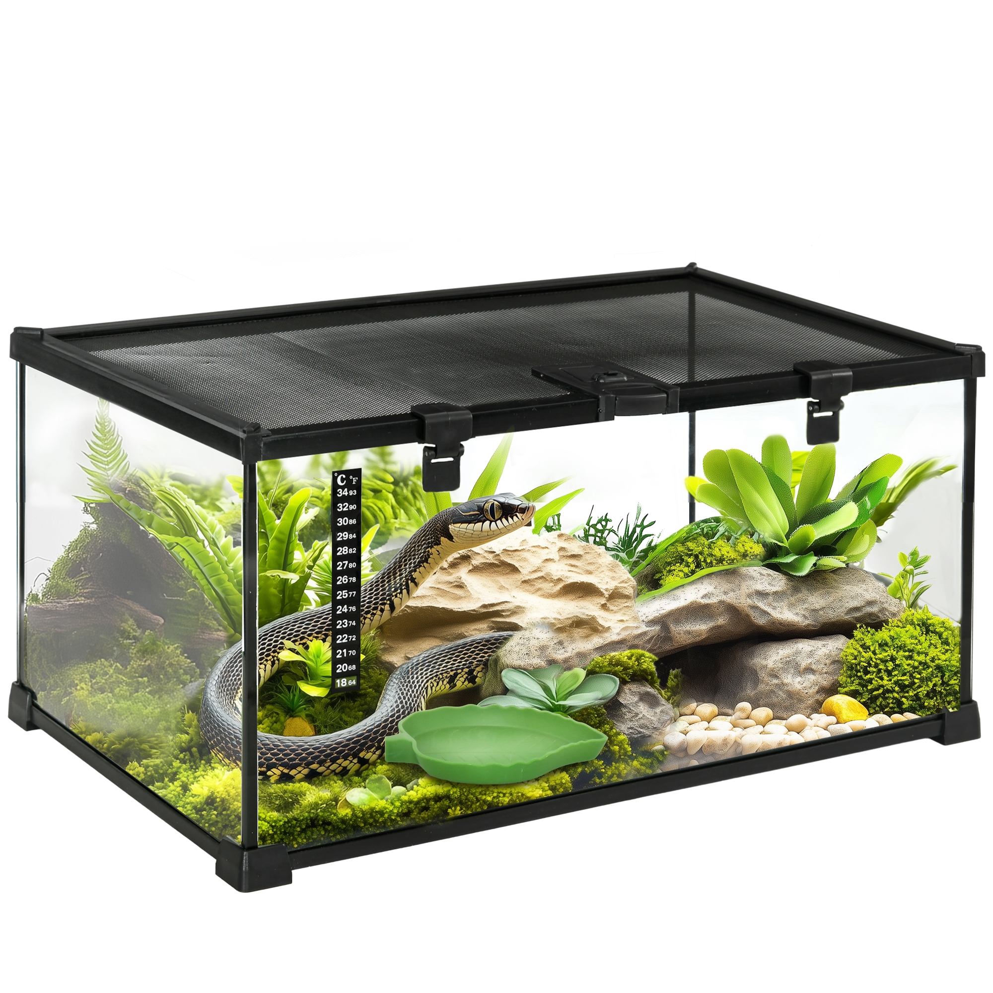Glass Reptile Terrarium Insect Breeding Tank Vivarium