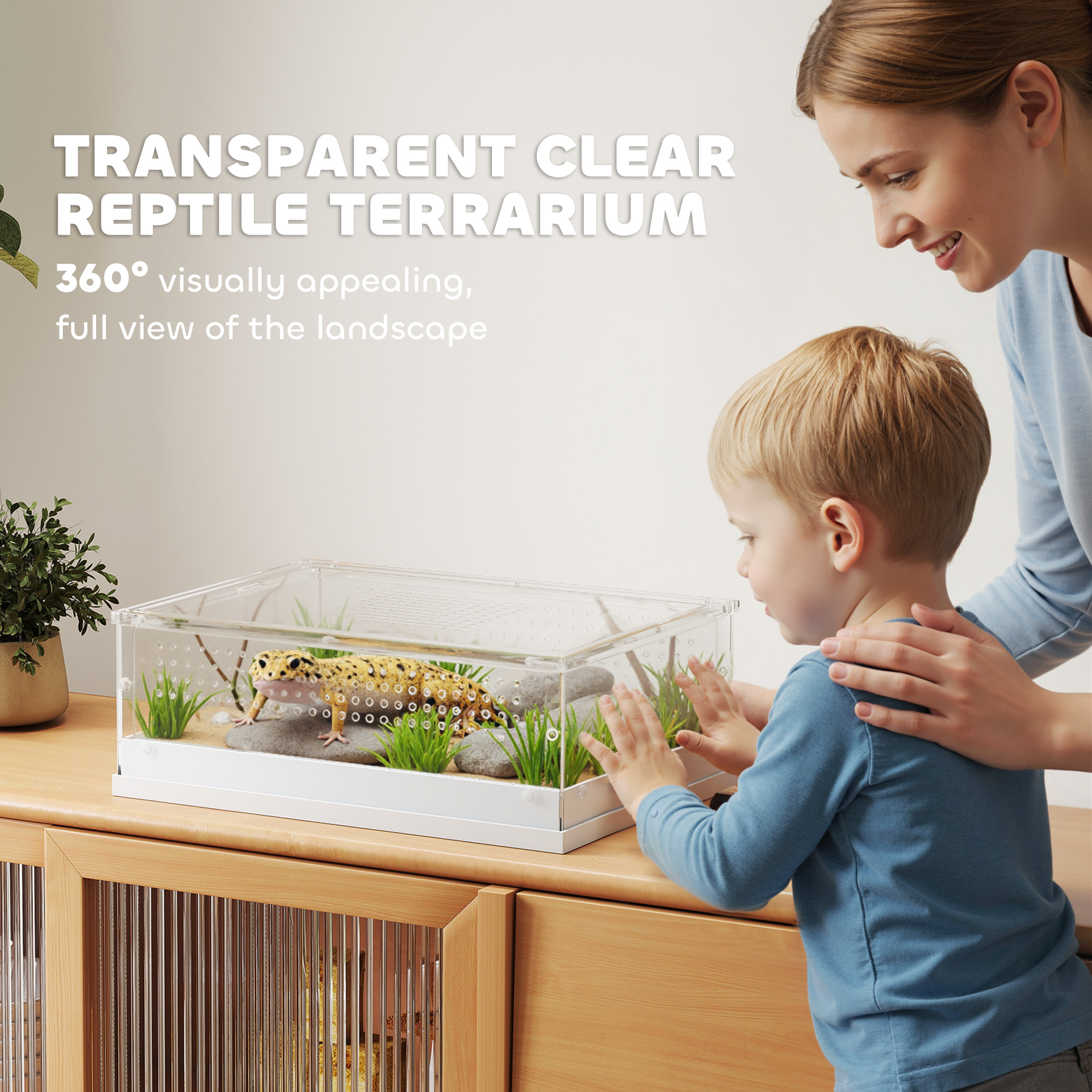 Acrylic reptile terrarium with top sliding door,vents,