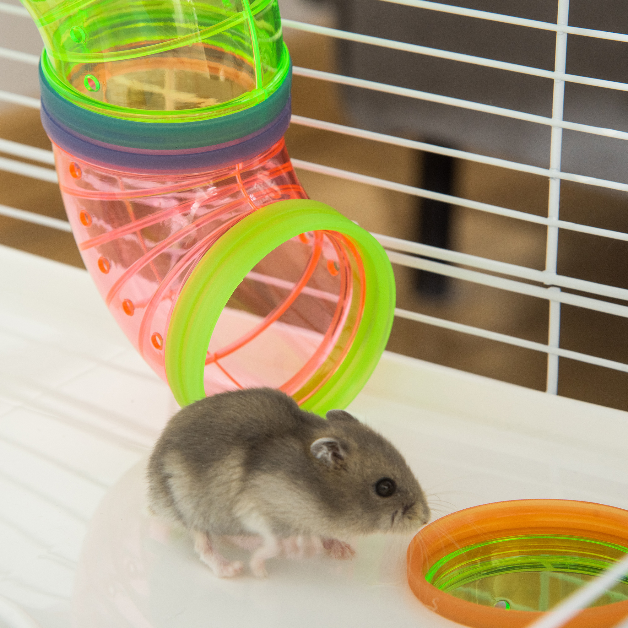Hamster Cage W/ Water Bottle,Exercise Wheel,Tubes,Ramps-Light Blue detail photo 2