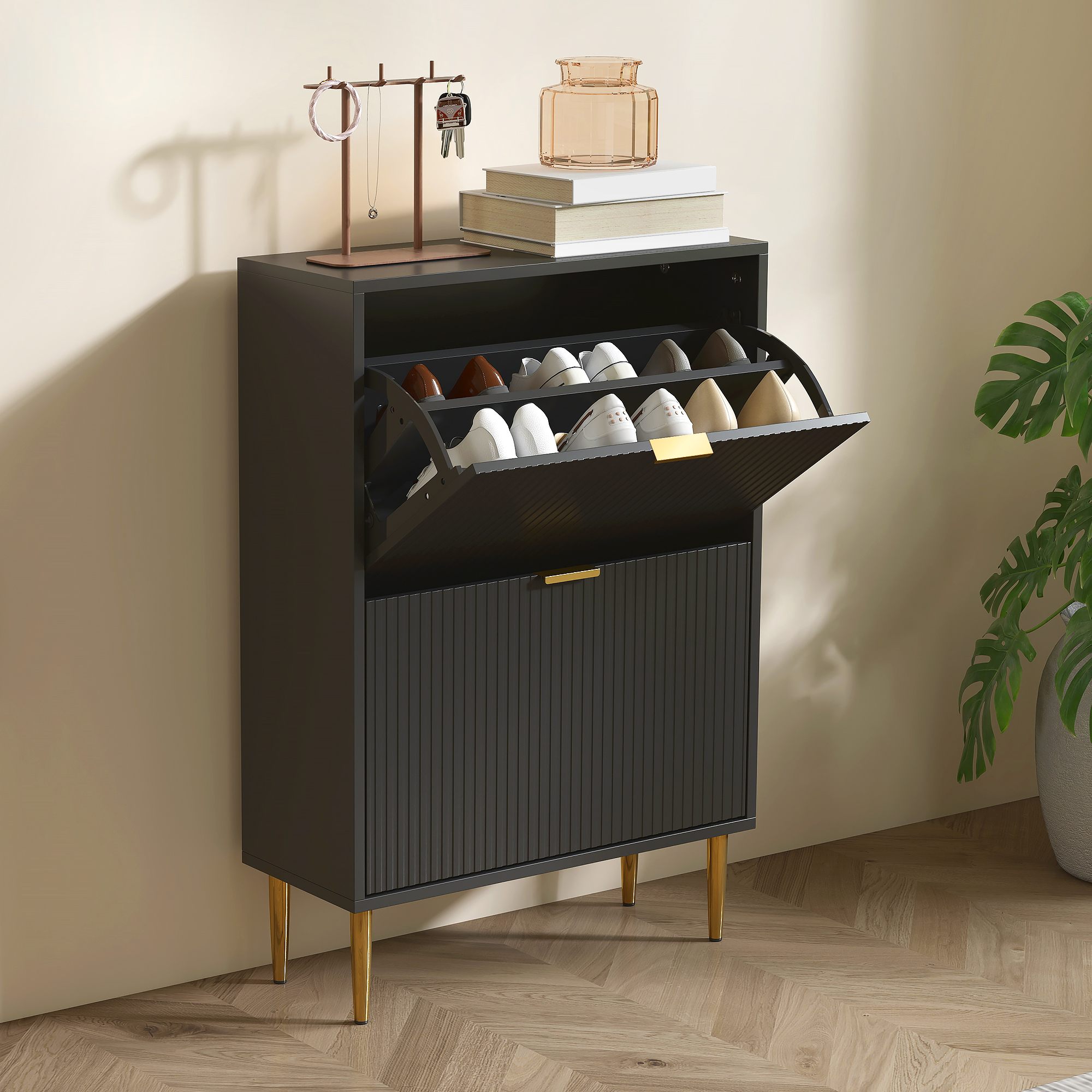 Elegant Two-Drawer Shoe Cabinet-Black — image 4