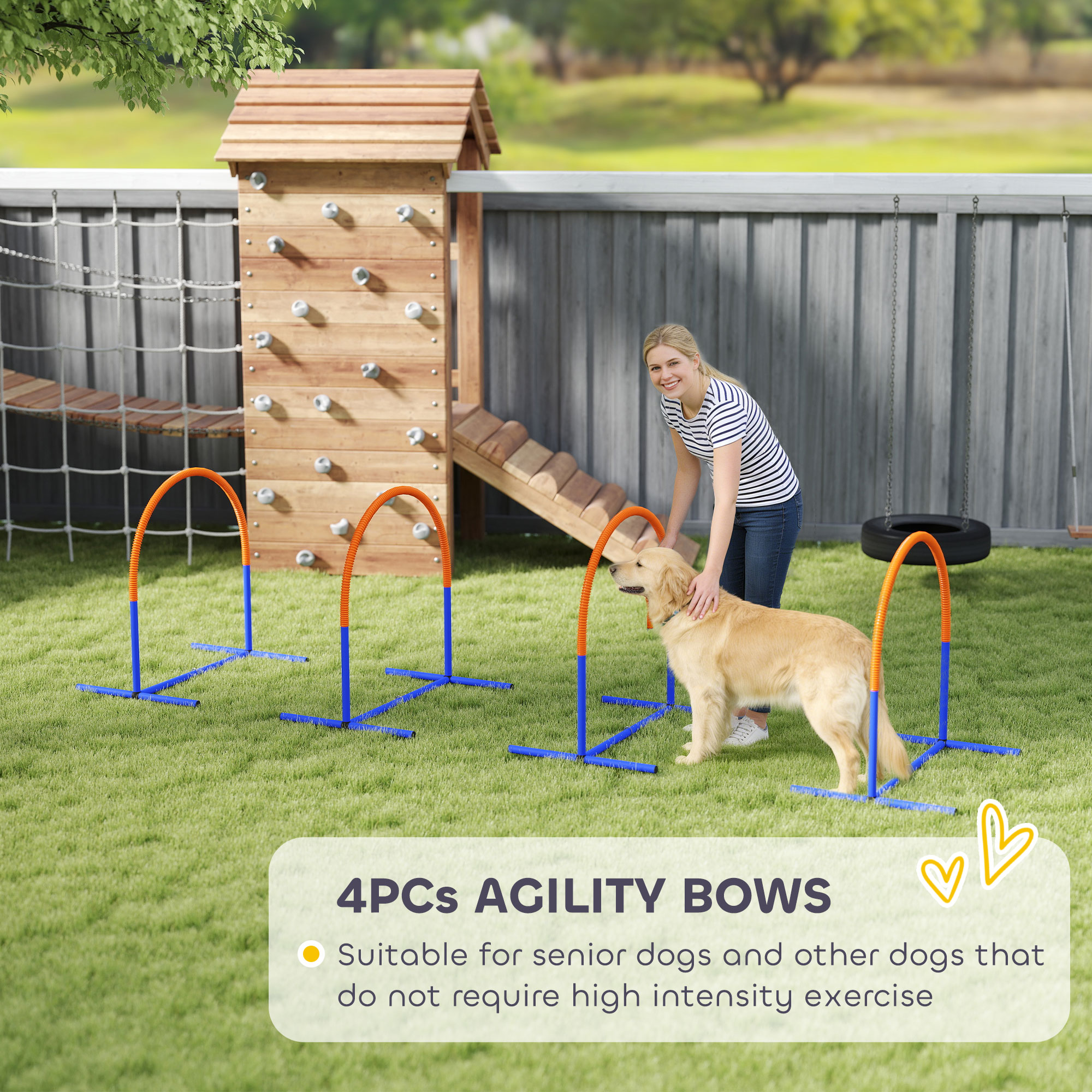 Four-Piece Portable Dog Agility Equipment-Blue — image 3