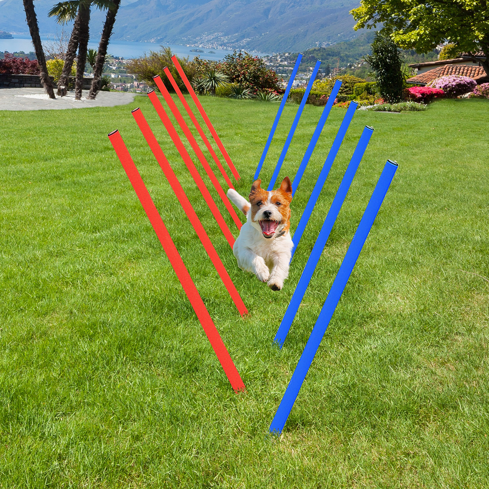 Dog Agility Training Equipment Play Run Obedience Set Adjustable (Poles)
