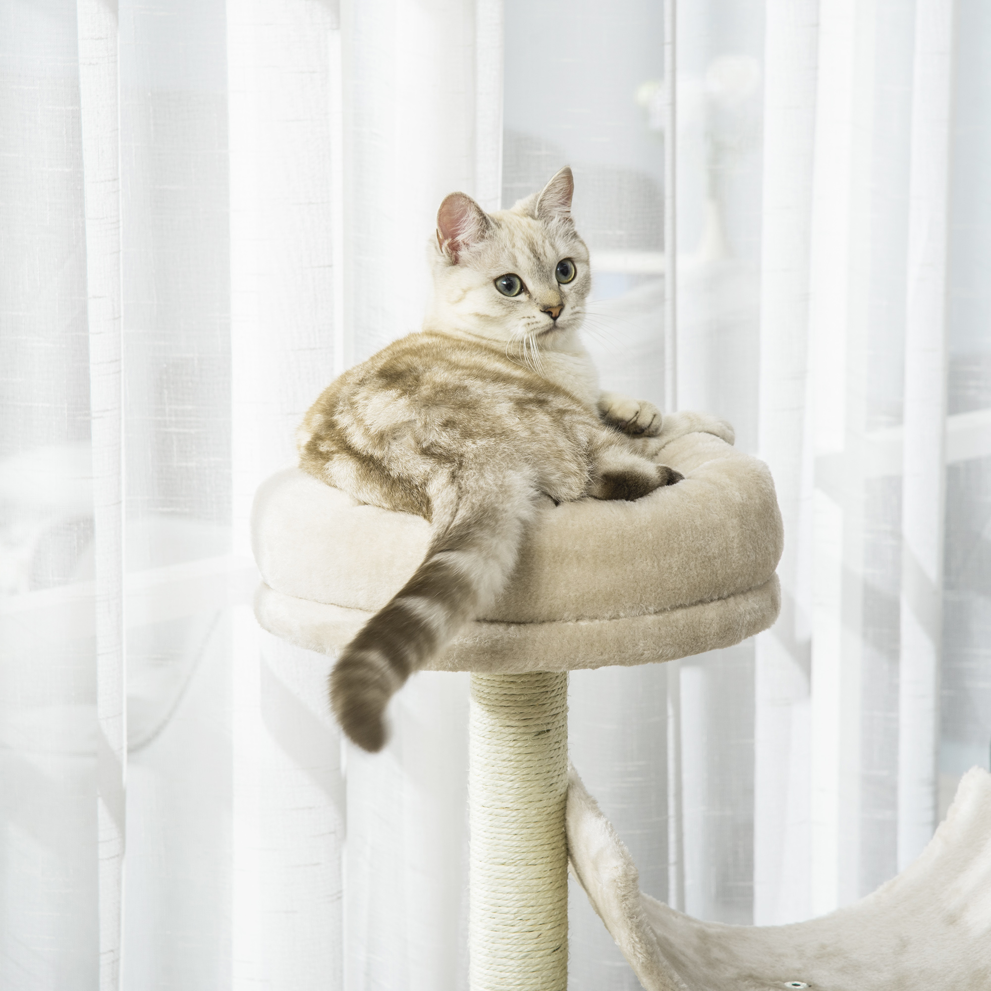 Cat Tree For Indoor Cats Kitten Pet Scratching Post Perch Activity Center — image 4