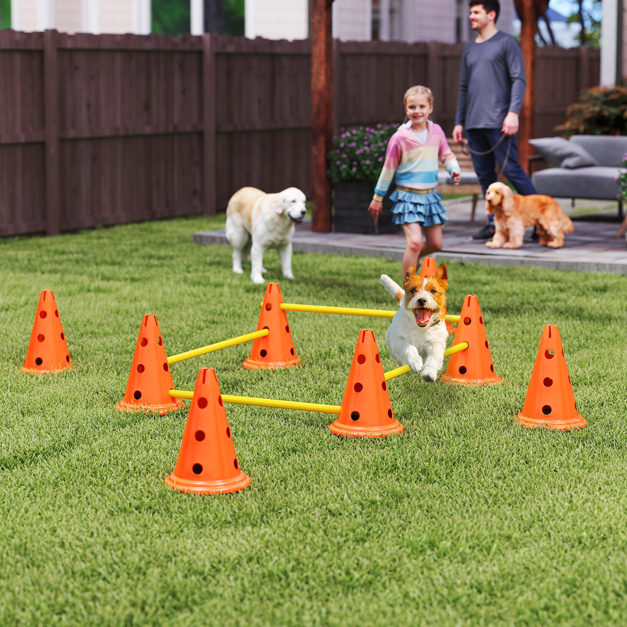 Dog Agility Equipment Set Of Eight Cones,Eight Poles W/ Carry Bag,Four-Piece Adjustable Height Jumping Obstacles detail photo 10