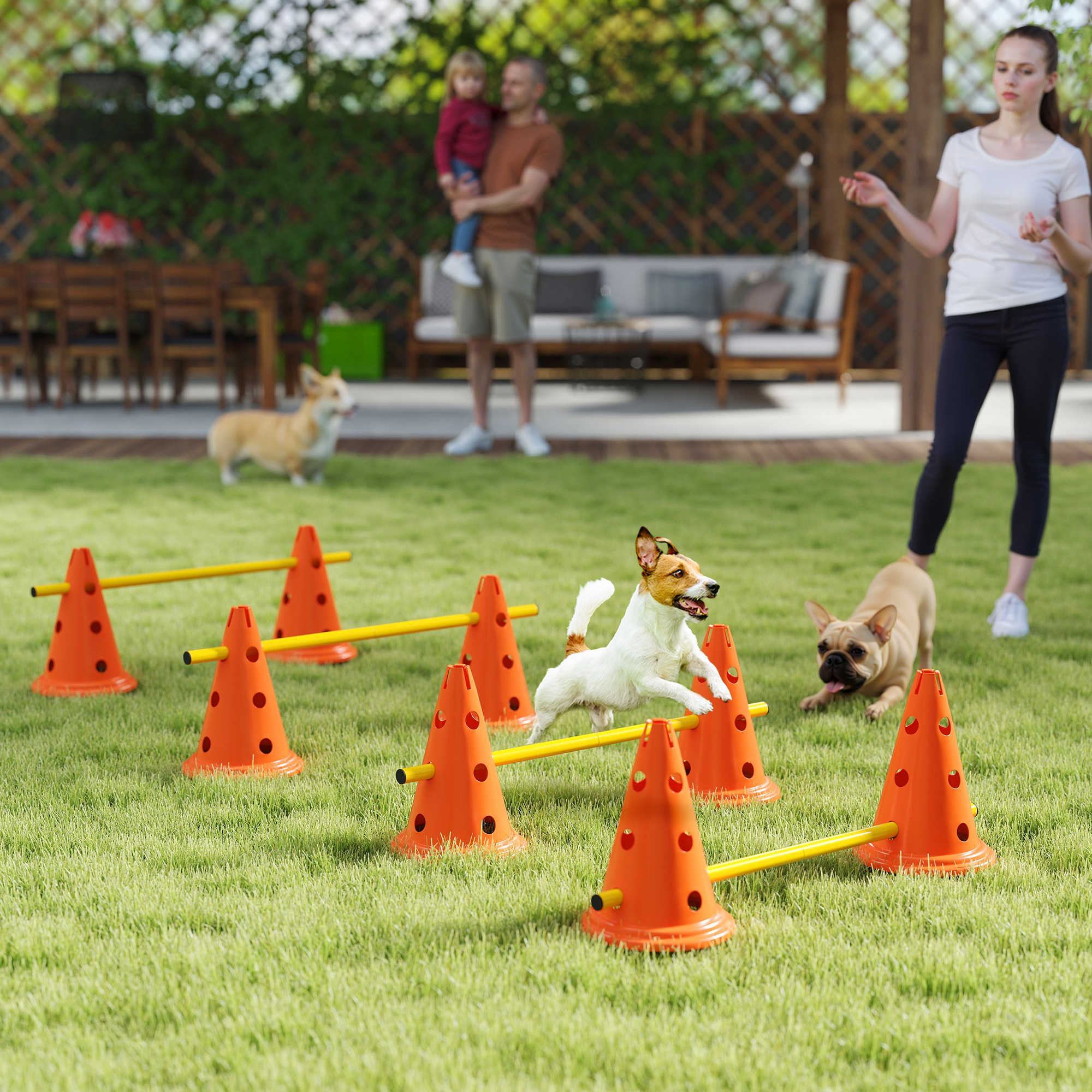 Dog Agility Equipment Set Of Eight Cones,Eight Poles W/ Carry Bag,Four-Piece Adjustable Height Jumping Obstacles detail photo 9