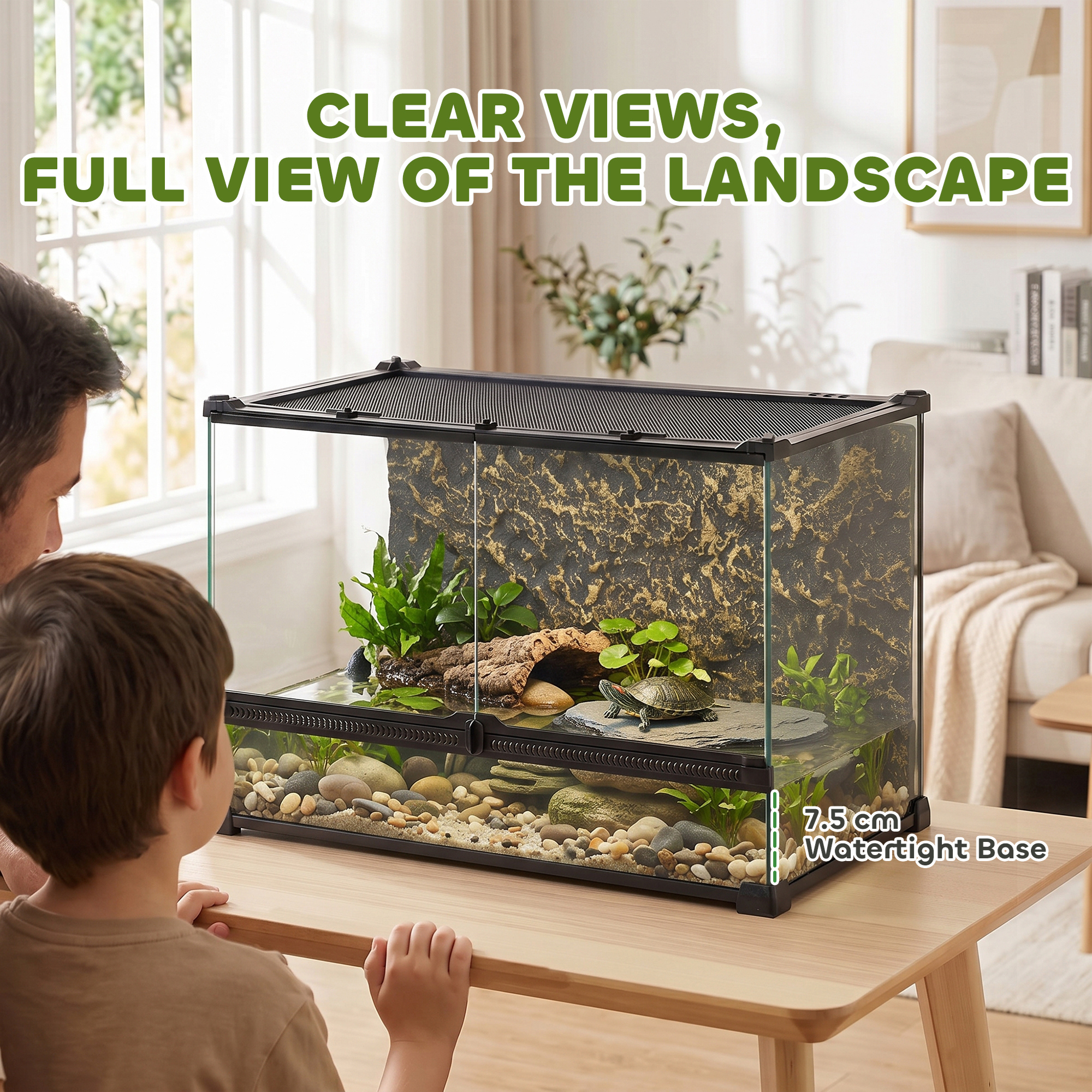Reptile glass terrarium with stone background,front