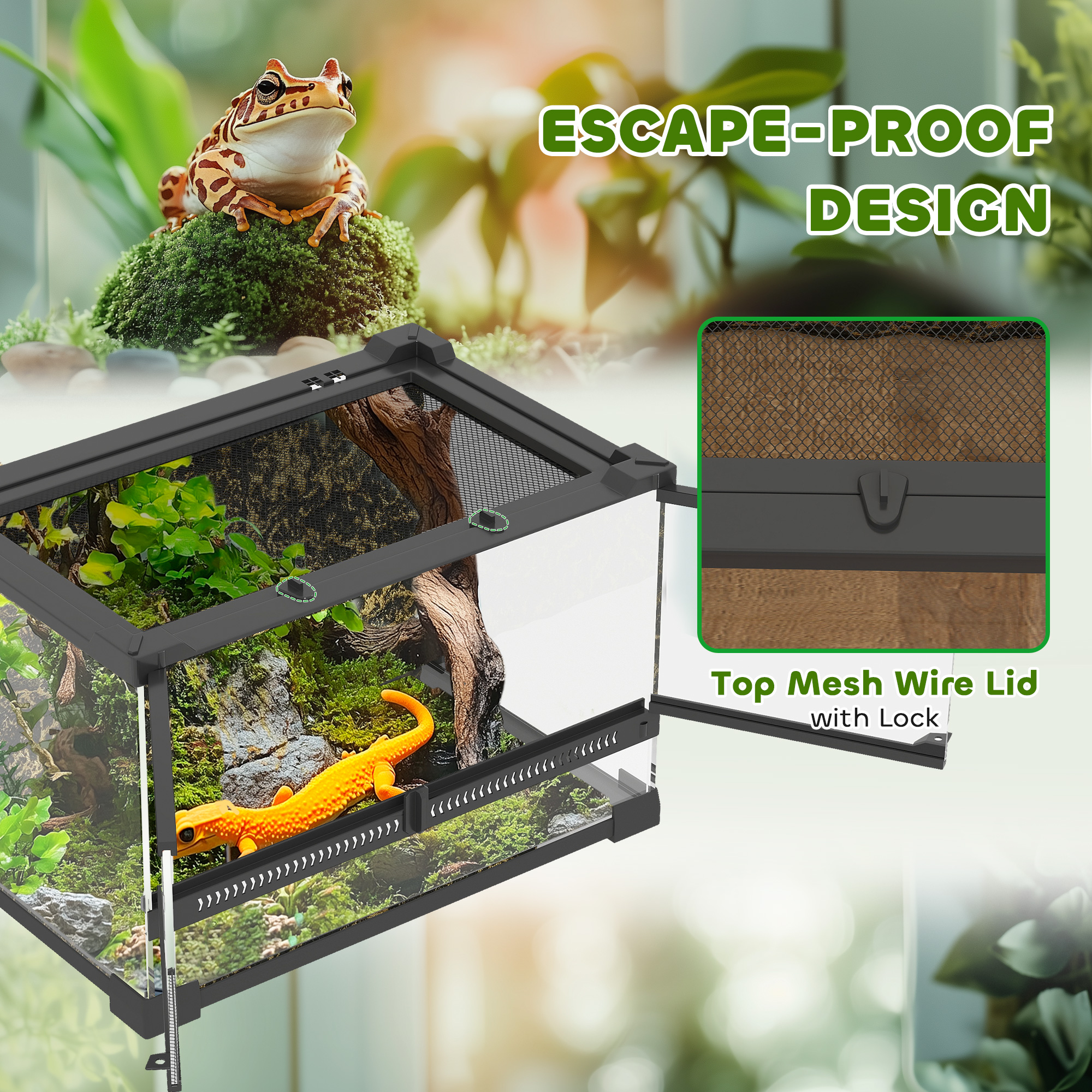 Reptile glass terrarium with stone background,front
