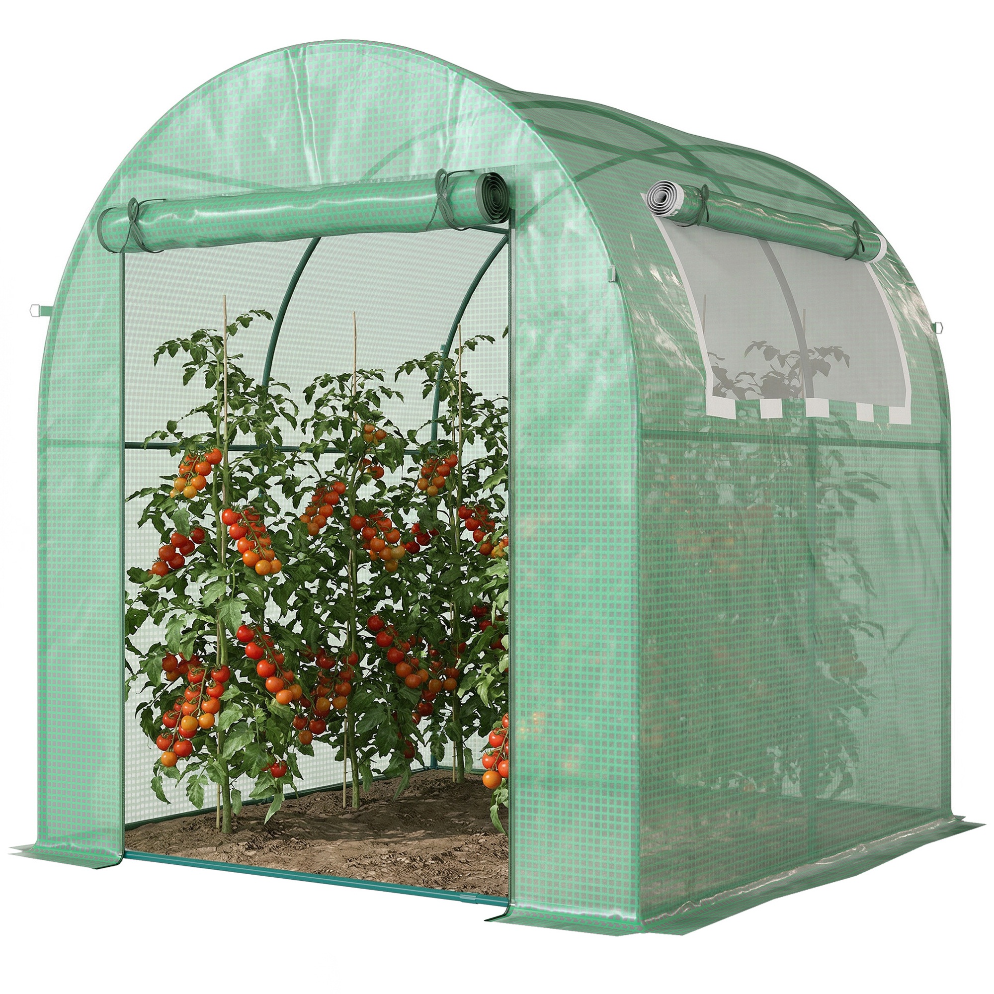 Walk In Polytunnel Greenhouse,Green House For Garden With Roll-up Window — image 2