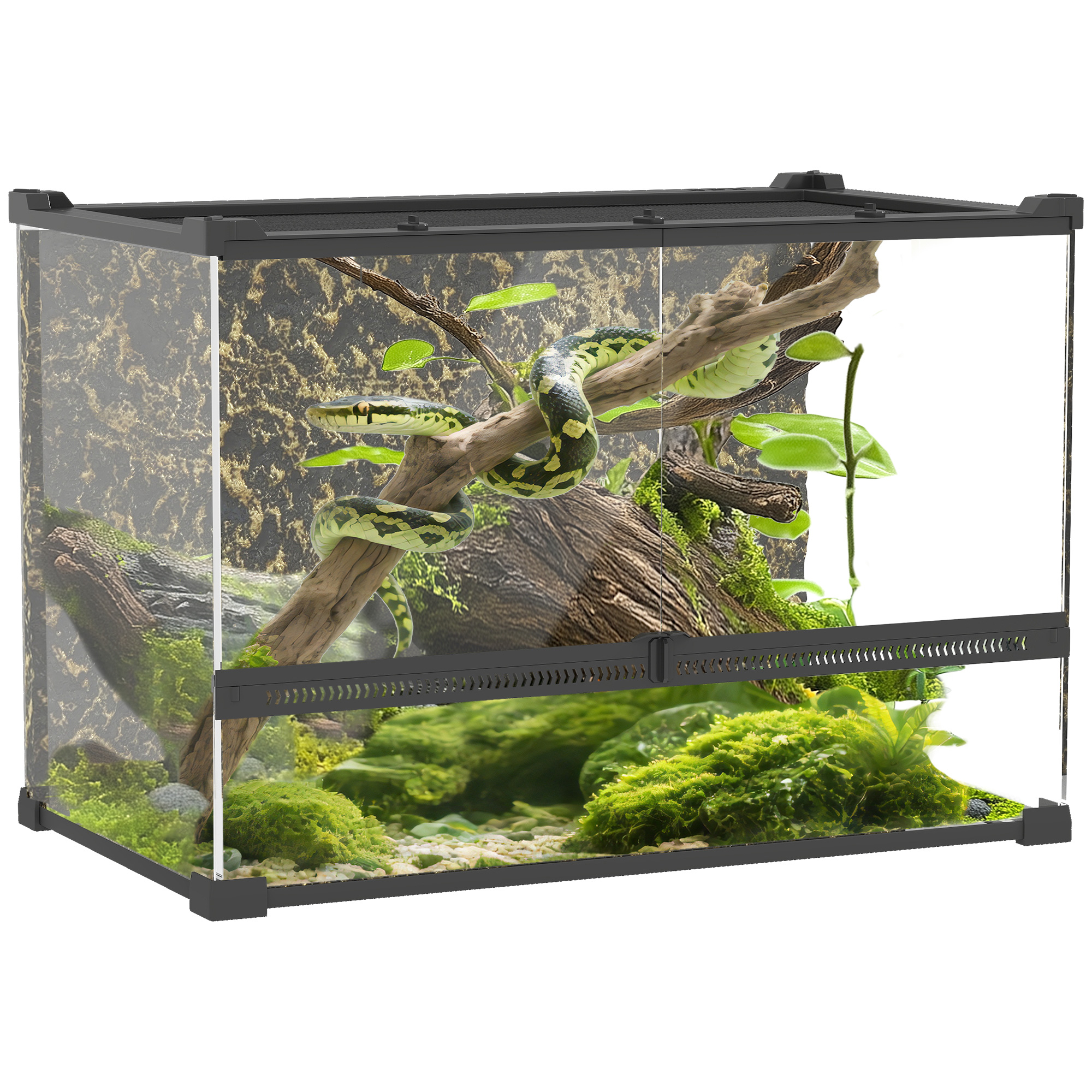 Reptile glass terrarium with stone background,front
