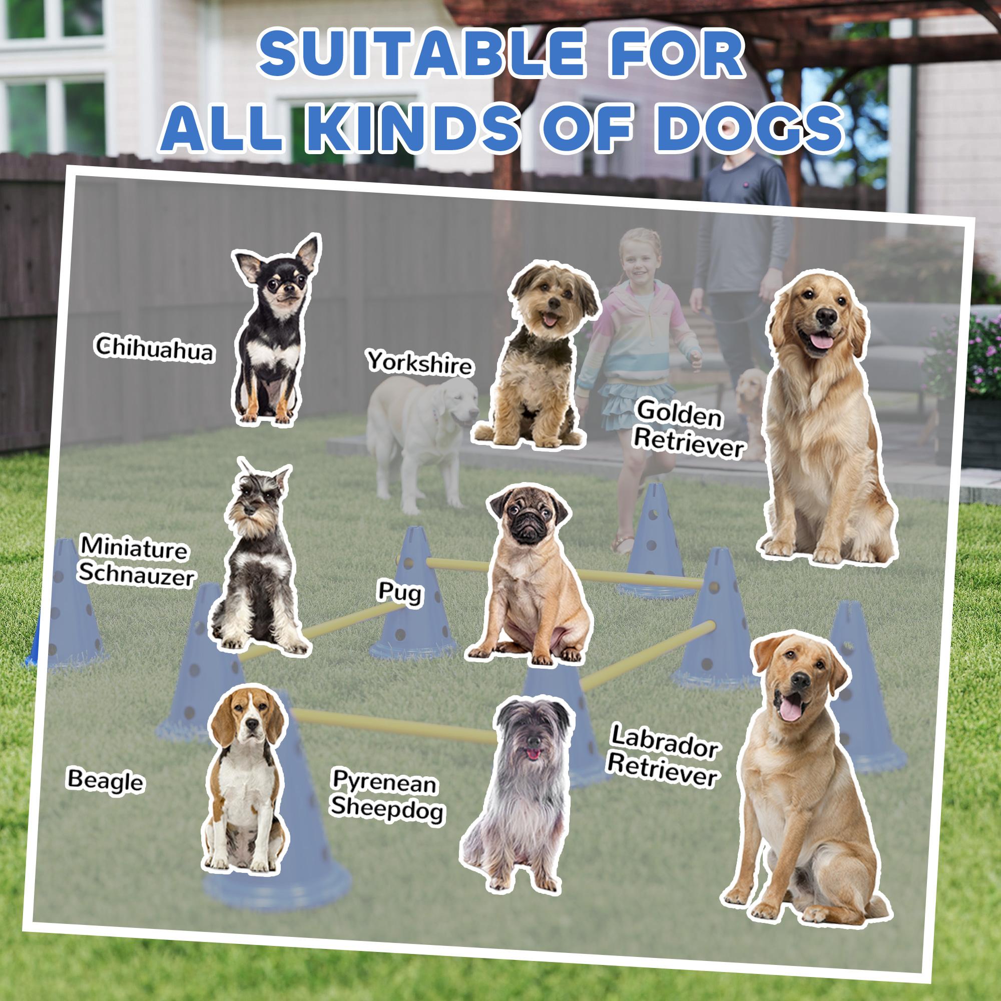 Dog Agility Equipment Set Of Eight Cones,Eight Poles W/ Carry Bag,Four-Piece — image 2