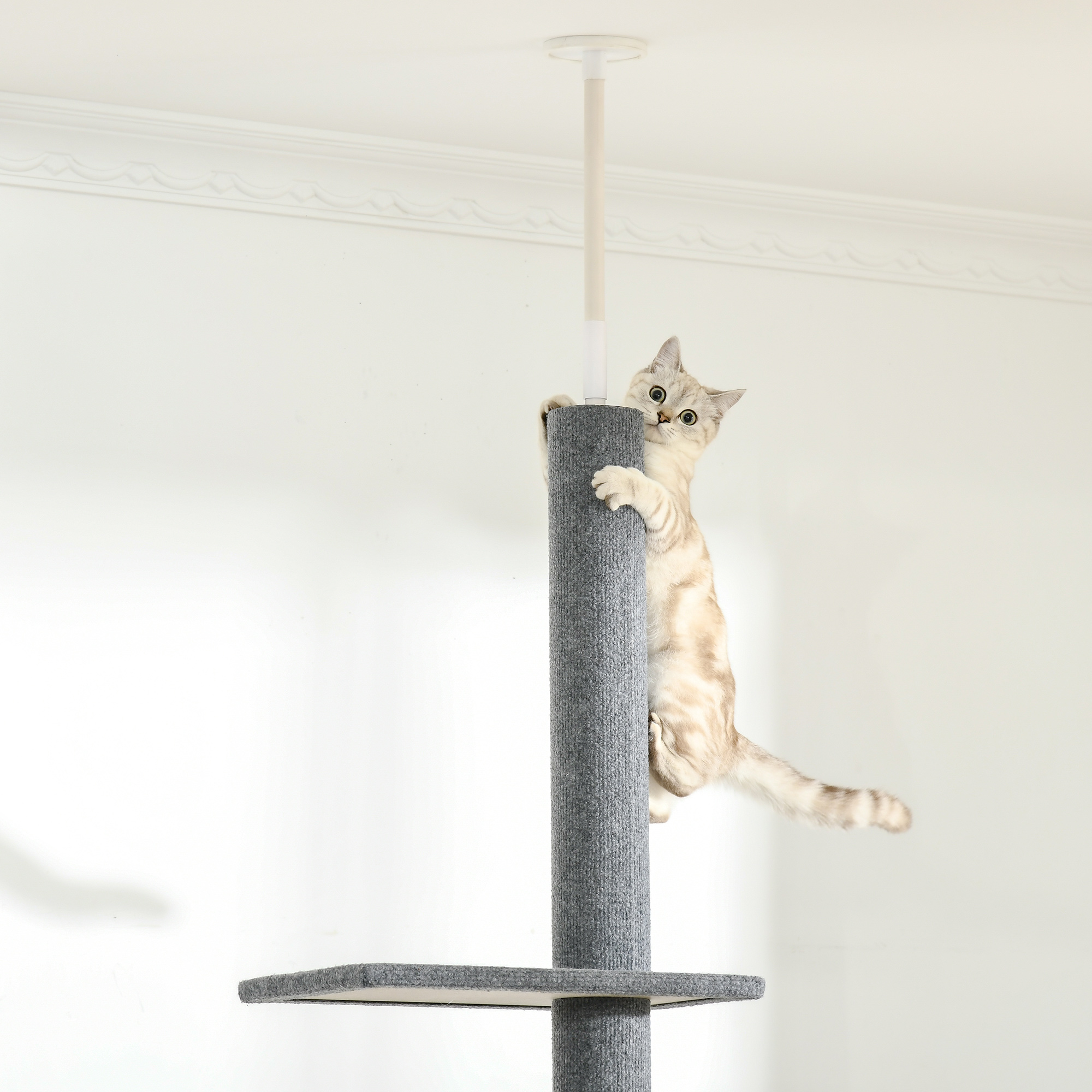 260cm Floor To Ceiling Cat Tree For Indoor Cats W/ Three Platforms Activity — image 4