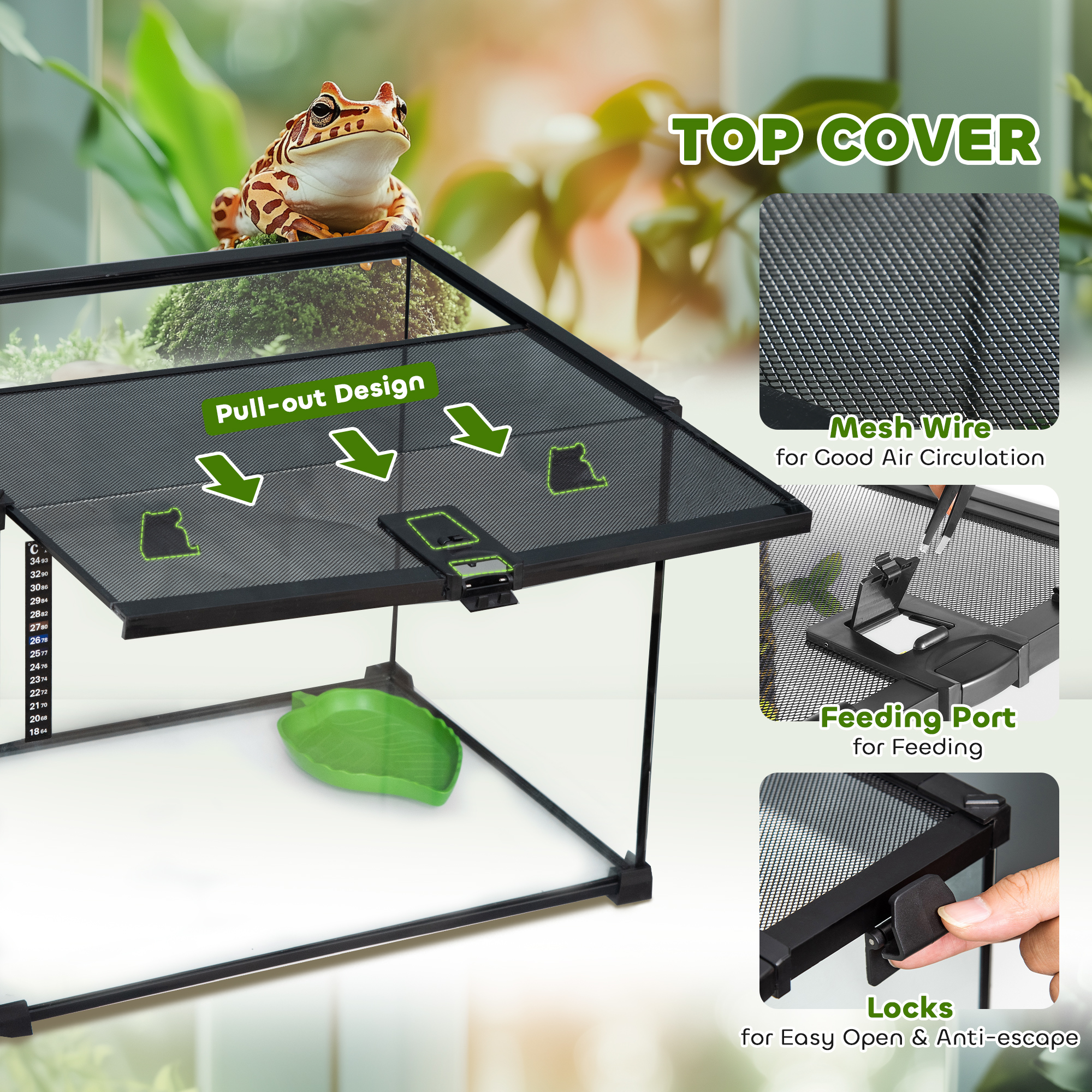 Glass Reptile Terrarium Insect Breeding Tank Vivarium