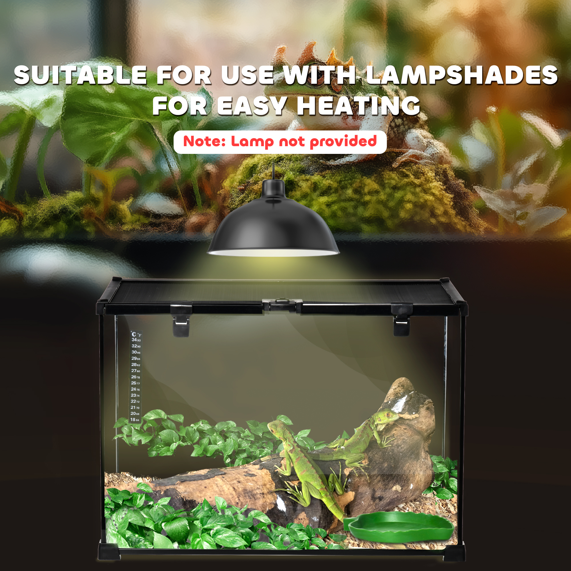 Glass Reptile Terrarium Insect Breeding Tank Vivarium