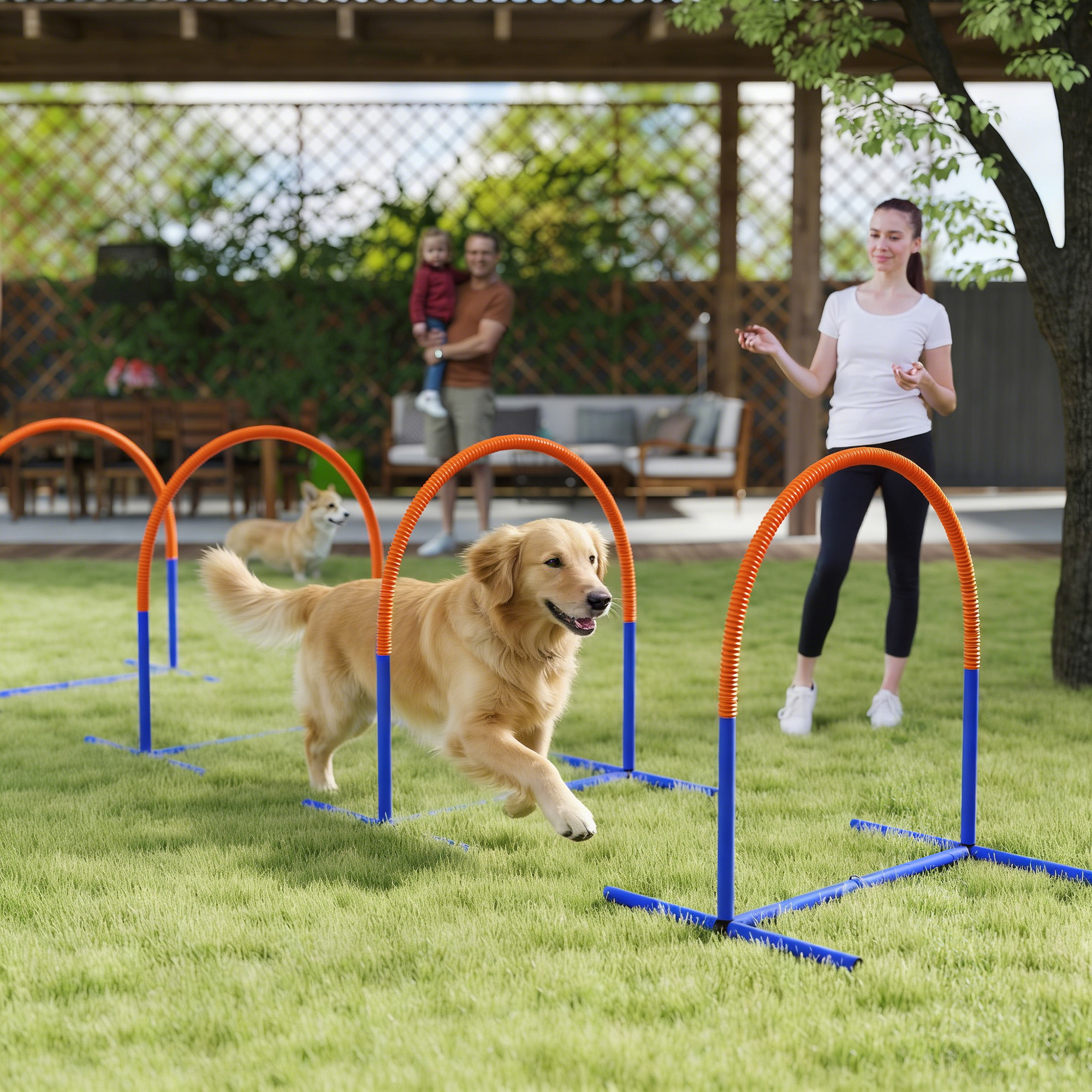 Four-Piece Portable Dog Agility Equipment-Blue — image 2
