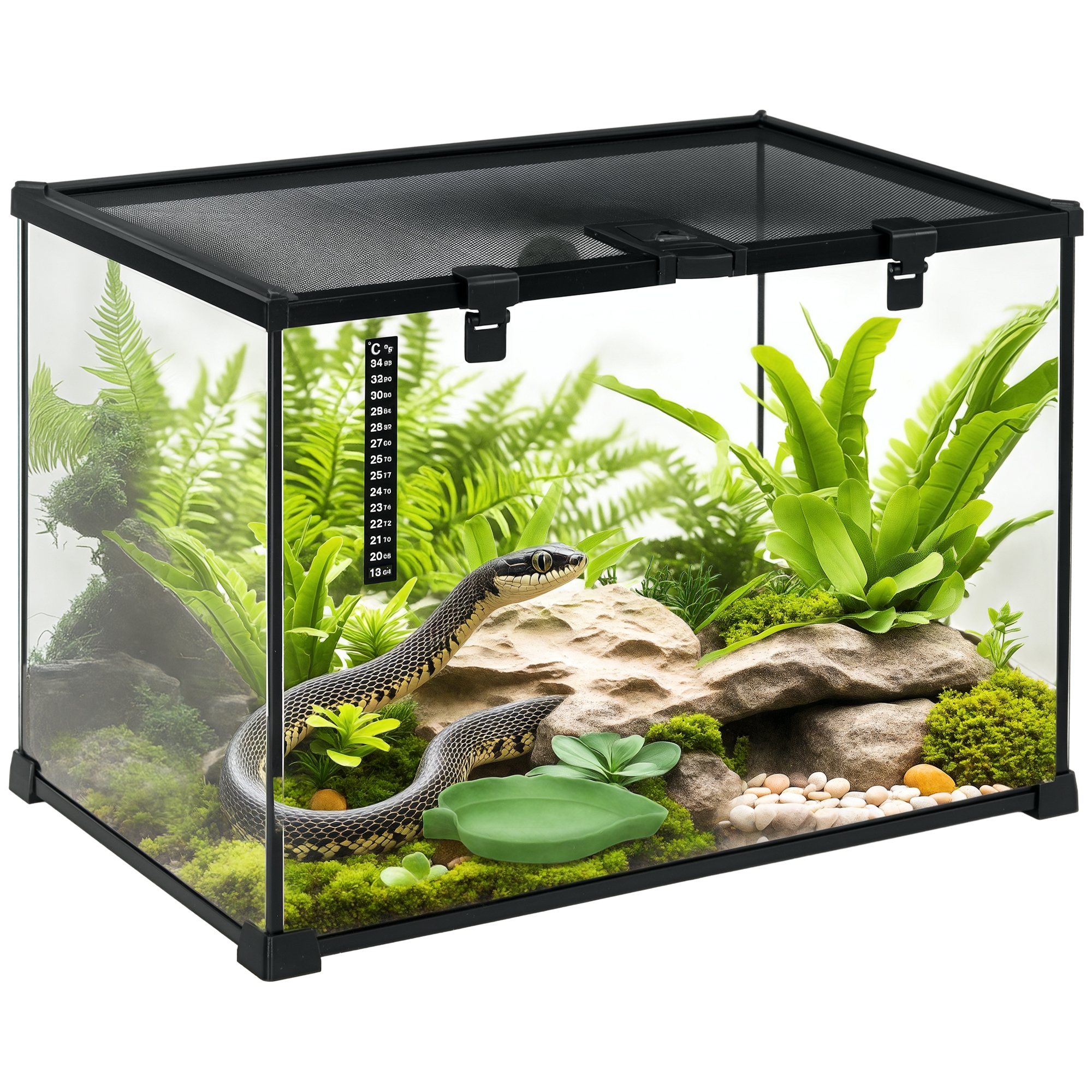 Glass Reptile Terrarium Insect Breeding Tank Vivarium