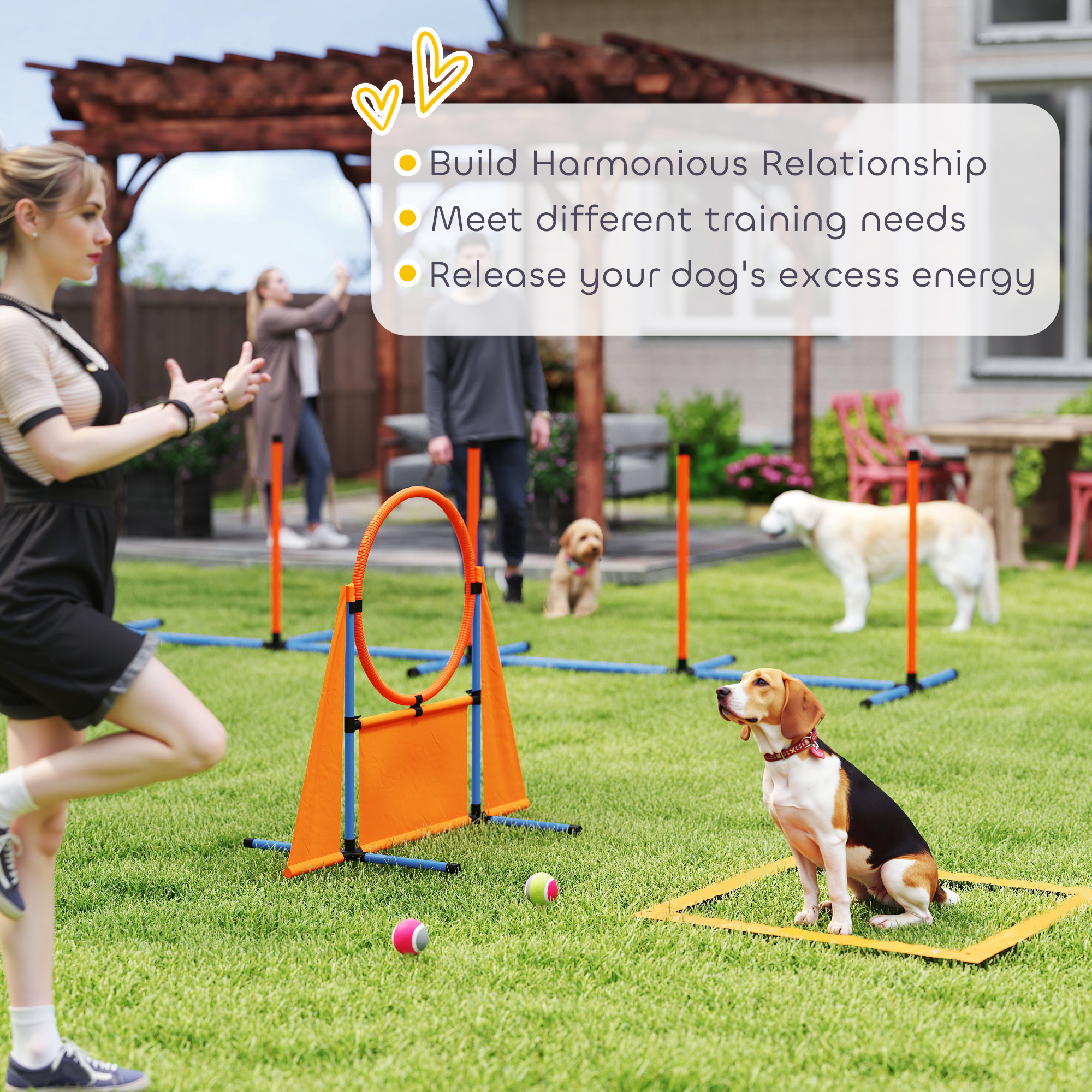 6-Piece Dog Agility Equipment Set With Weave Poles,Jump Ring,Hurdle,Pause — image 4
