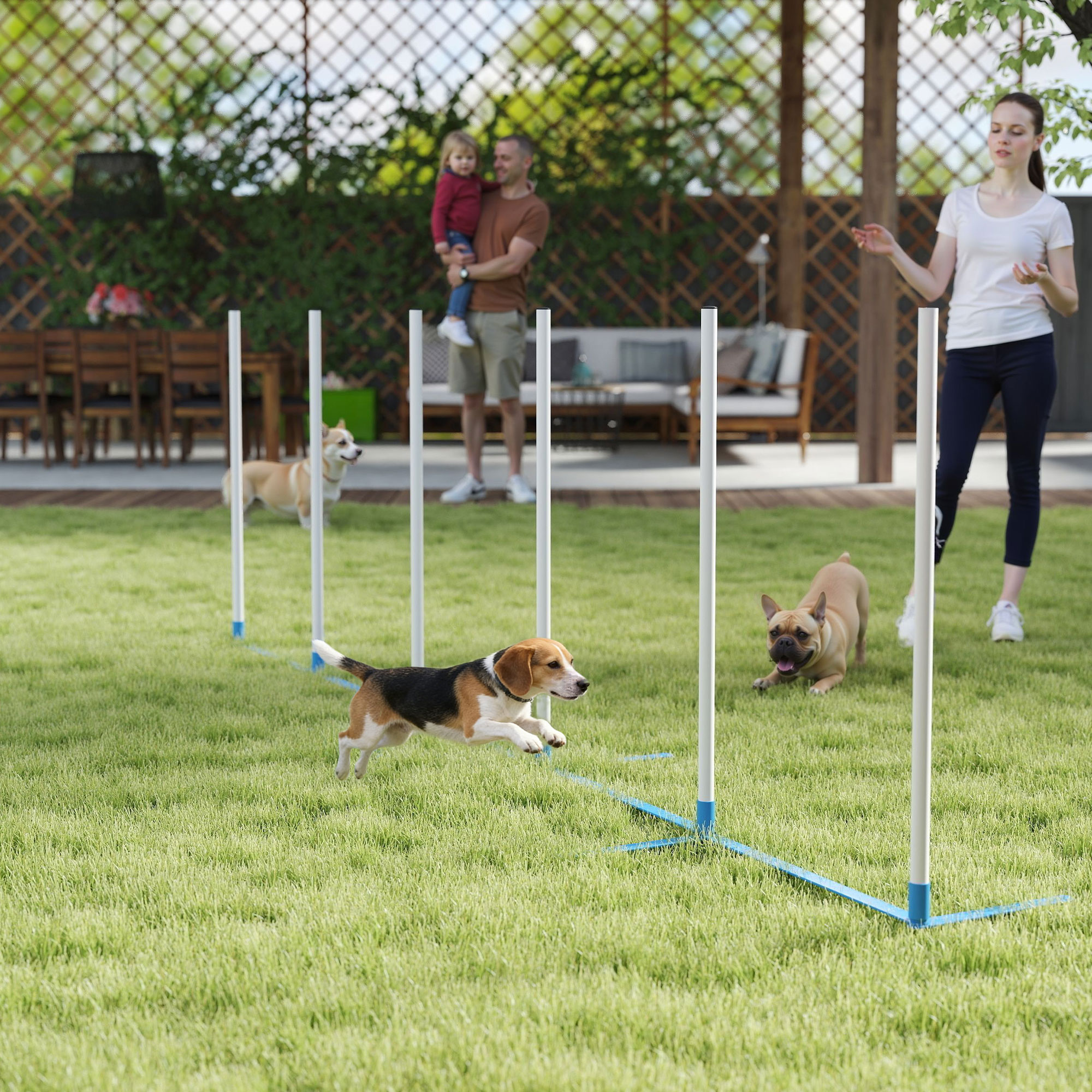 Dog Agility Equipment Training Adjustable Obstacle Course Set With 6 Weaves — image 5