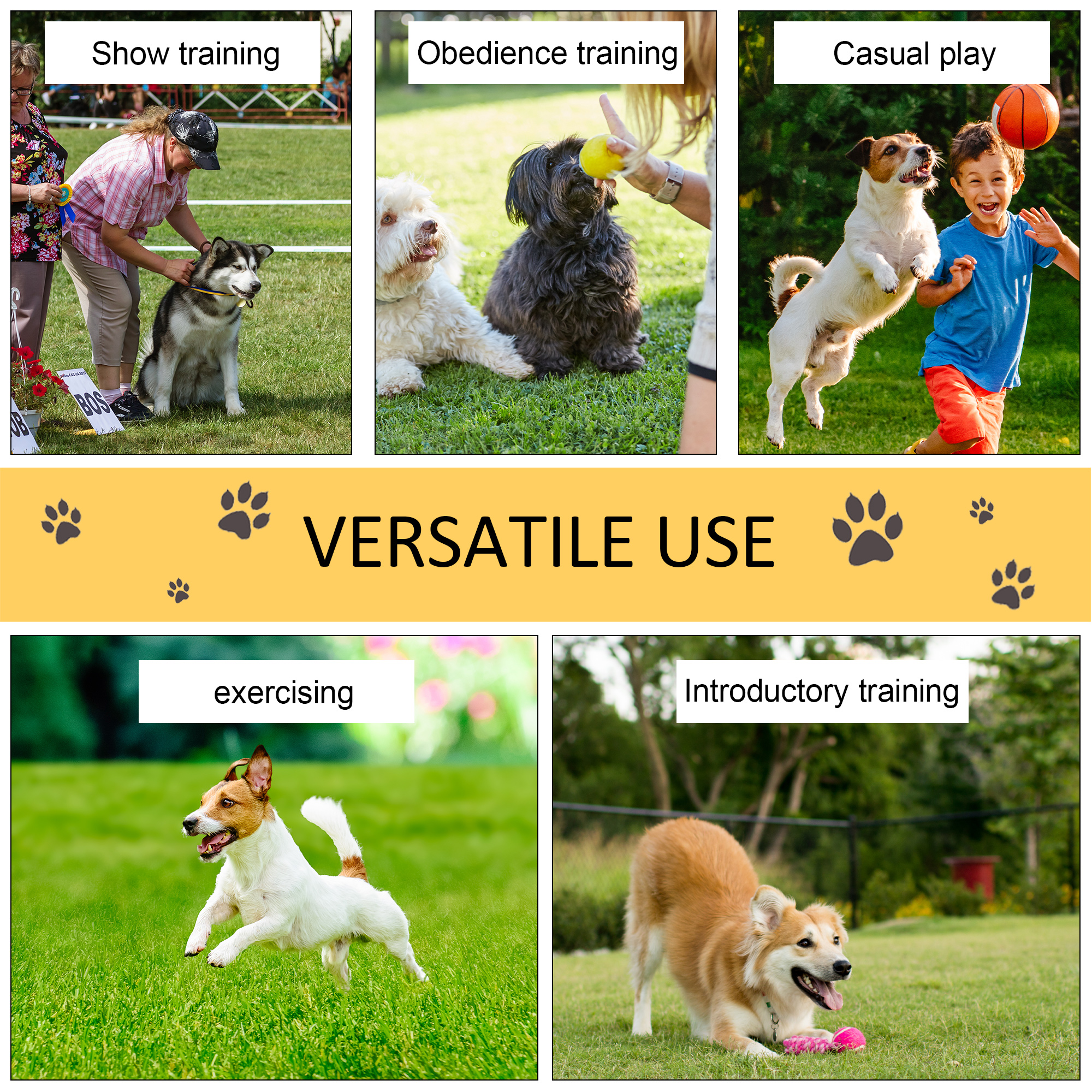 Dog Agility Training Equipment Play Run Obedience Set Adjustable (Poles) — image 4