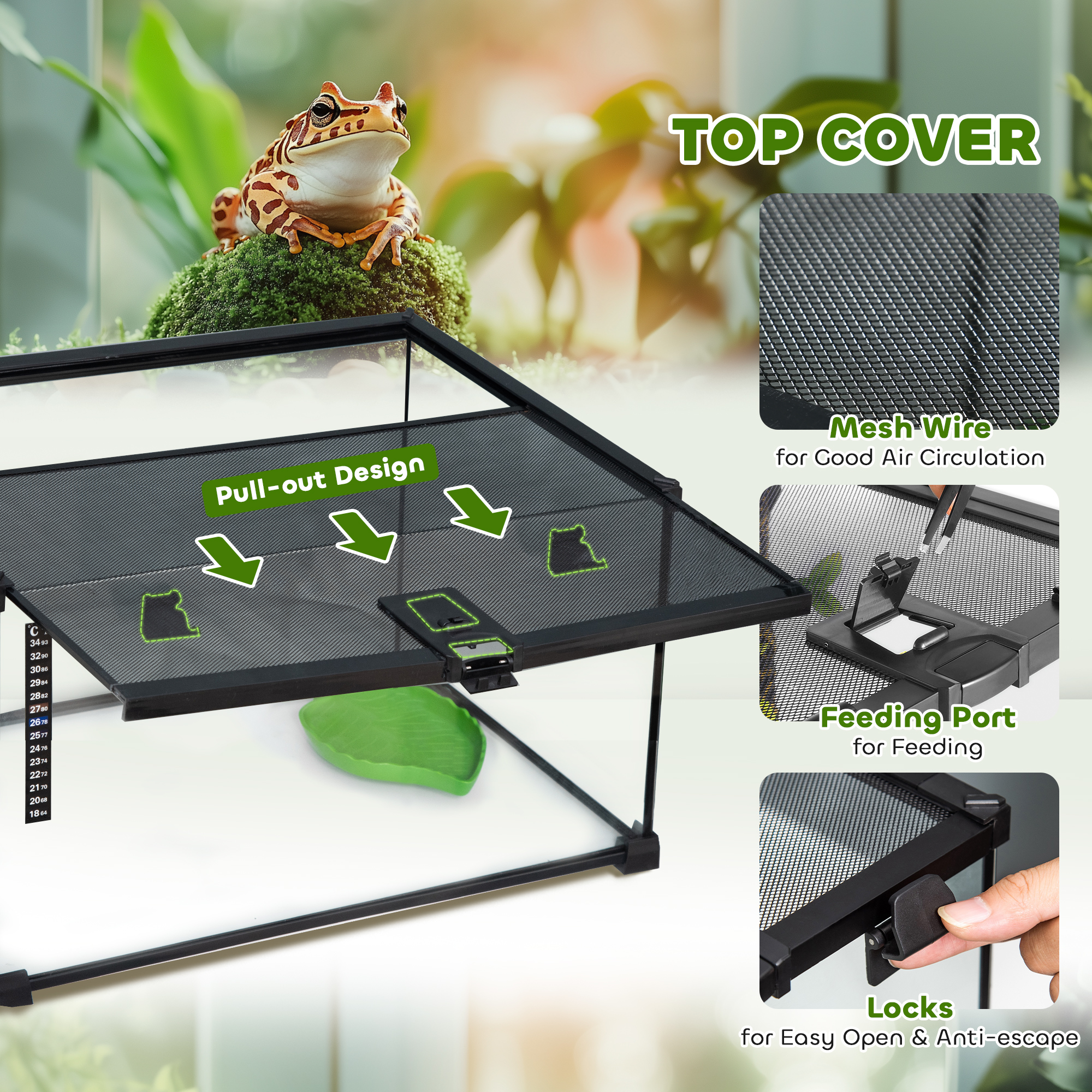 Glass Reptile Terrarium Insect Breeding Tank Vivarium