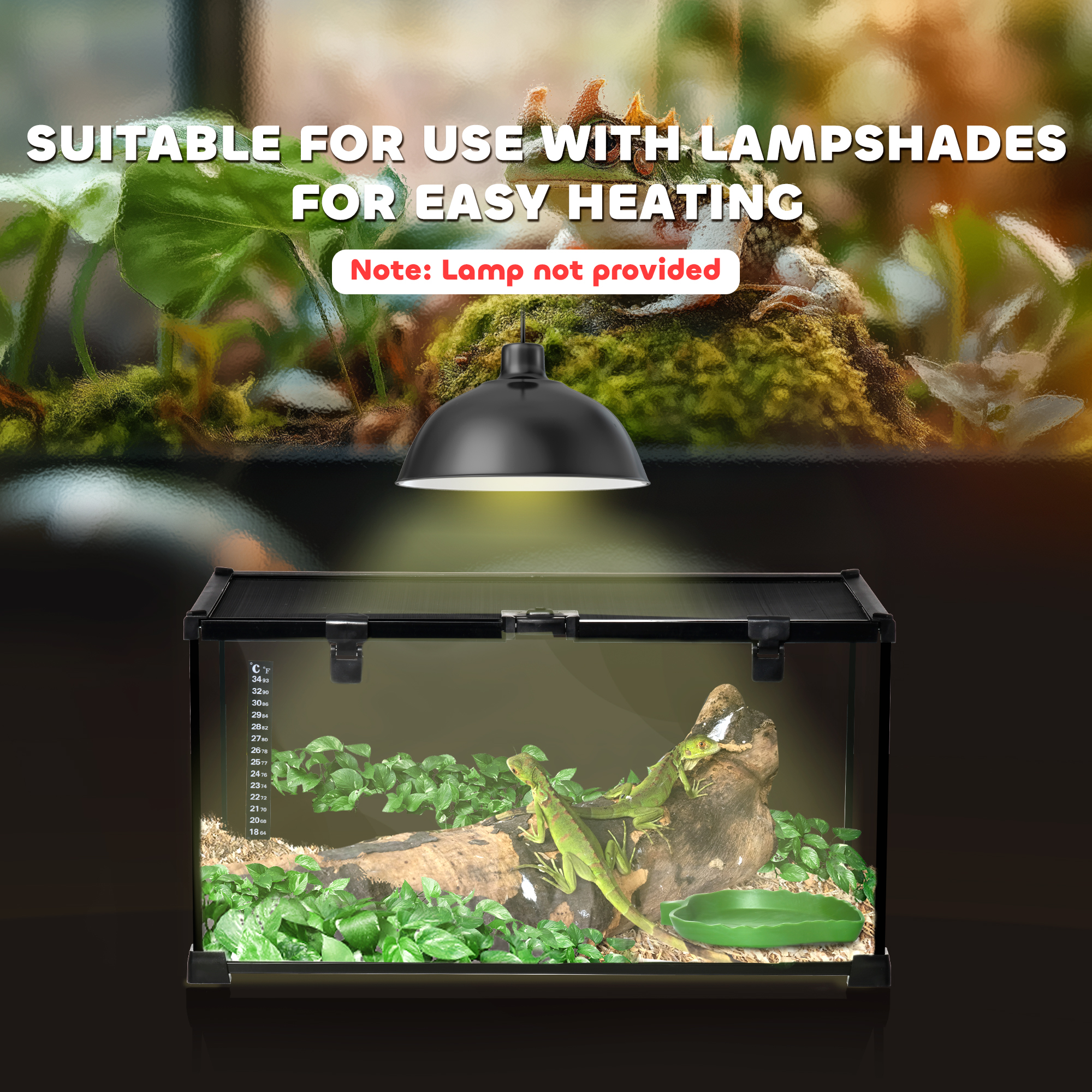 Glass Reptile Terrarium Insect Breeding Tank Vivarium