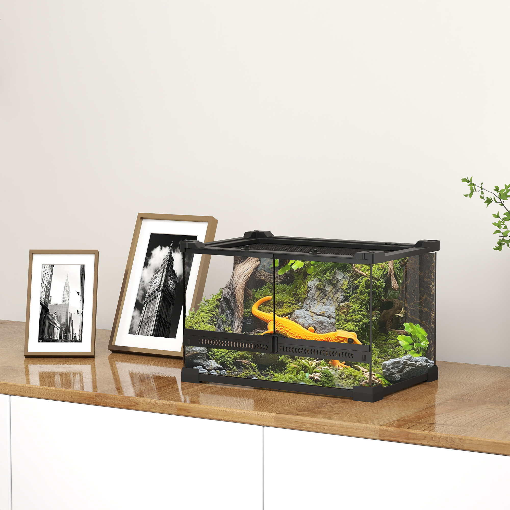 Reptile glass terrarium with stone background,front