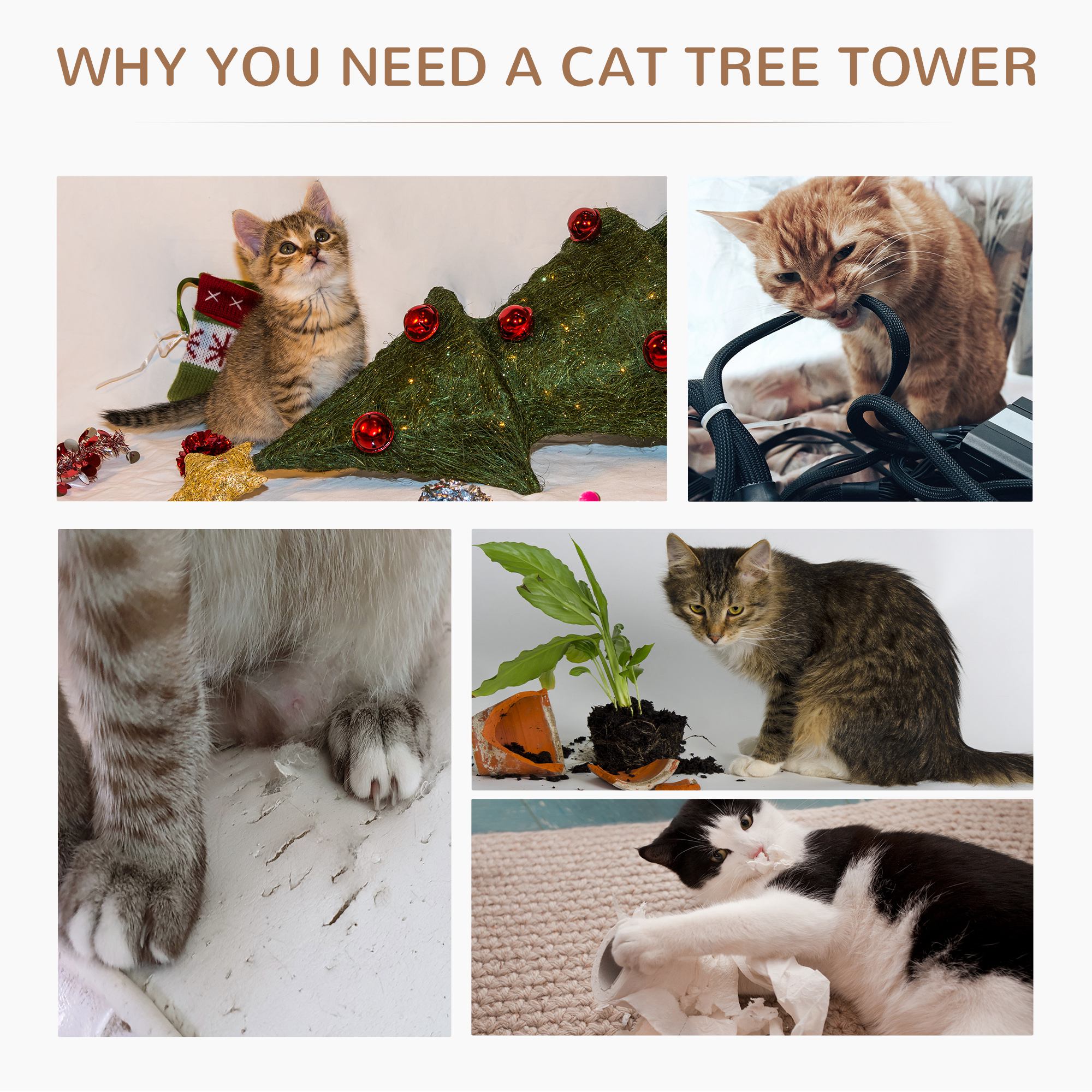 65cm Cat Tree,Cat Tower For Kittens,Small Cat Condo