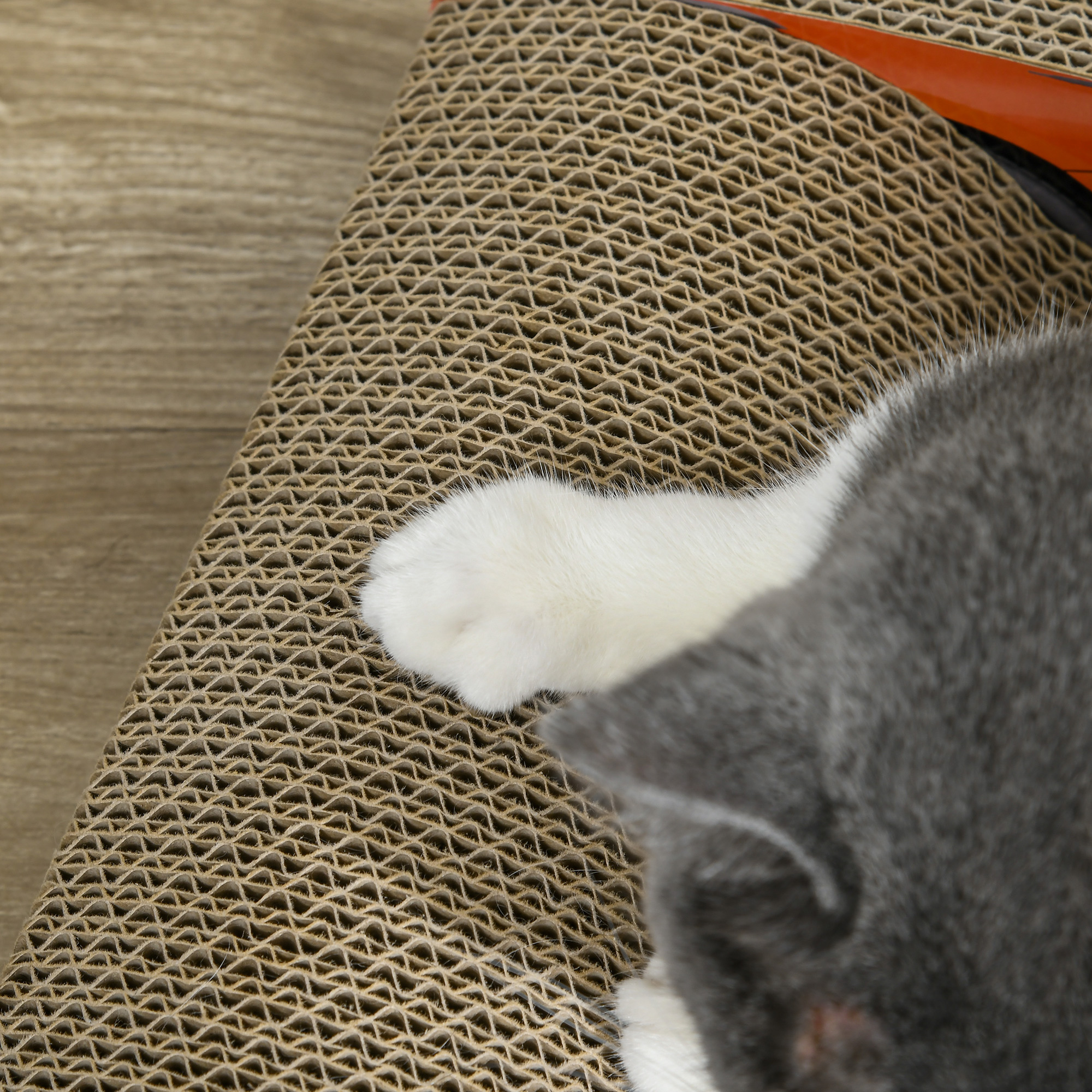 2 In 1 Cat Scratching Board With Catnip,Car-shaped — image 4