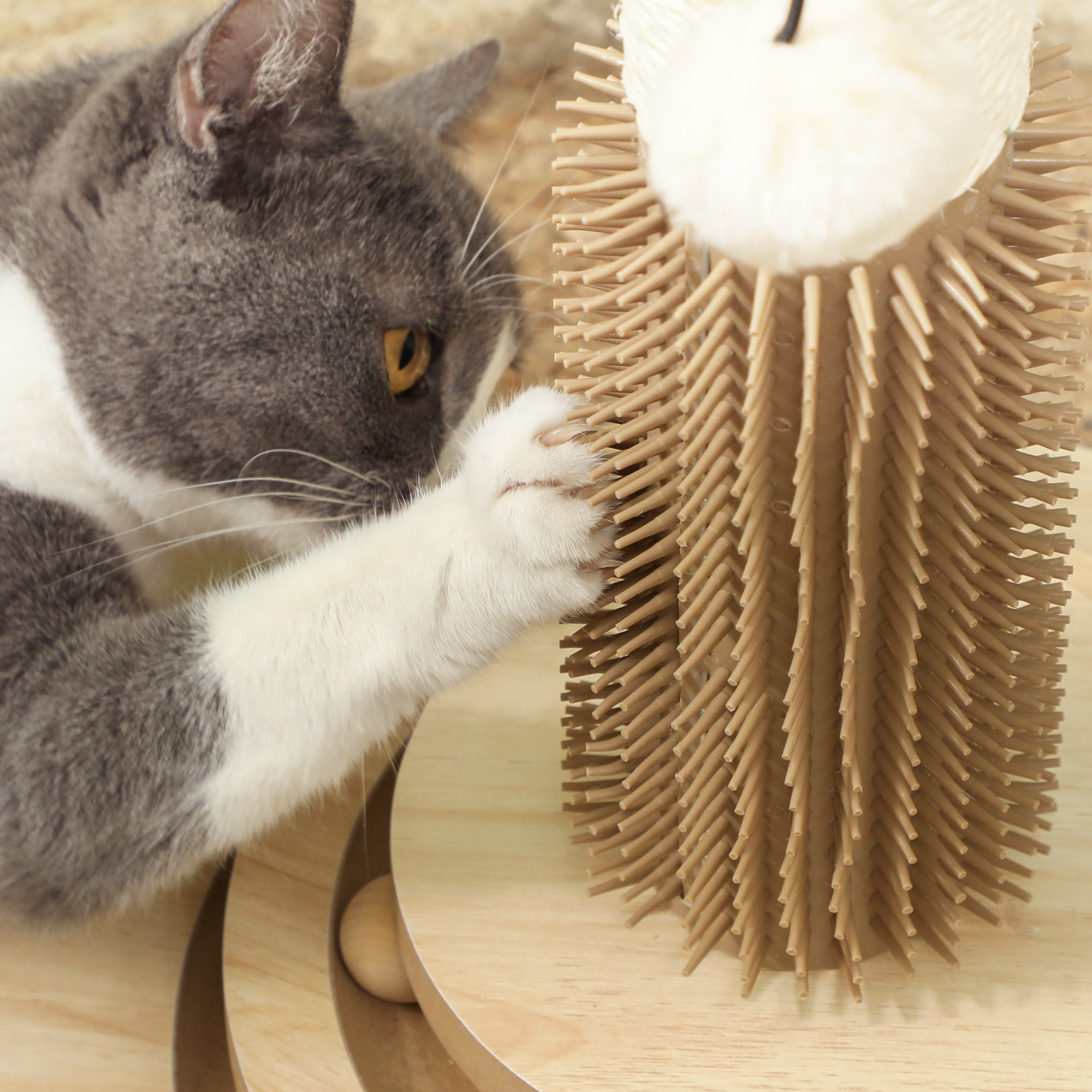 49cm 5 In 1 Cat Scratching Post With Sisal Post,Track Ball,Self Grooming — image 4