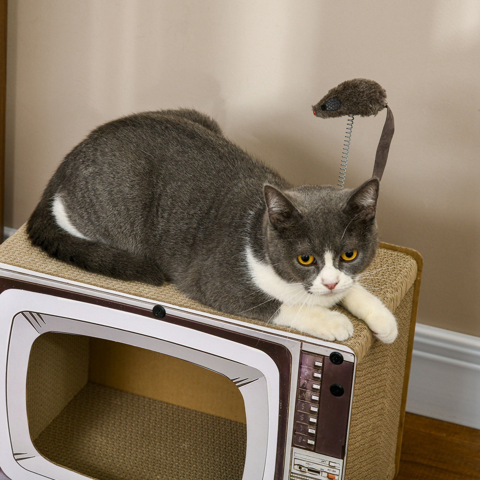 TV-Shaped Scratching Board With Scratcher,Catnip,Toy Rat,Cat Scratcher — image 5