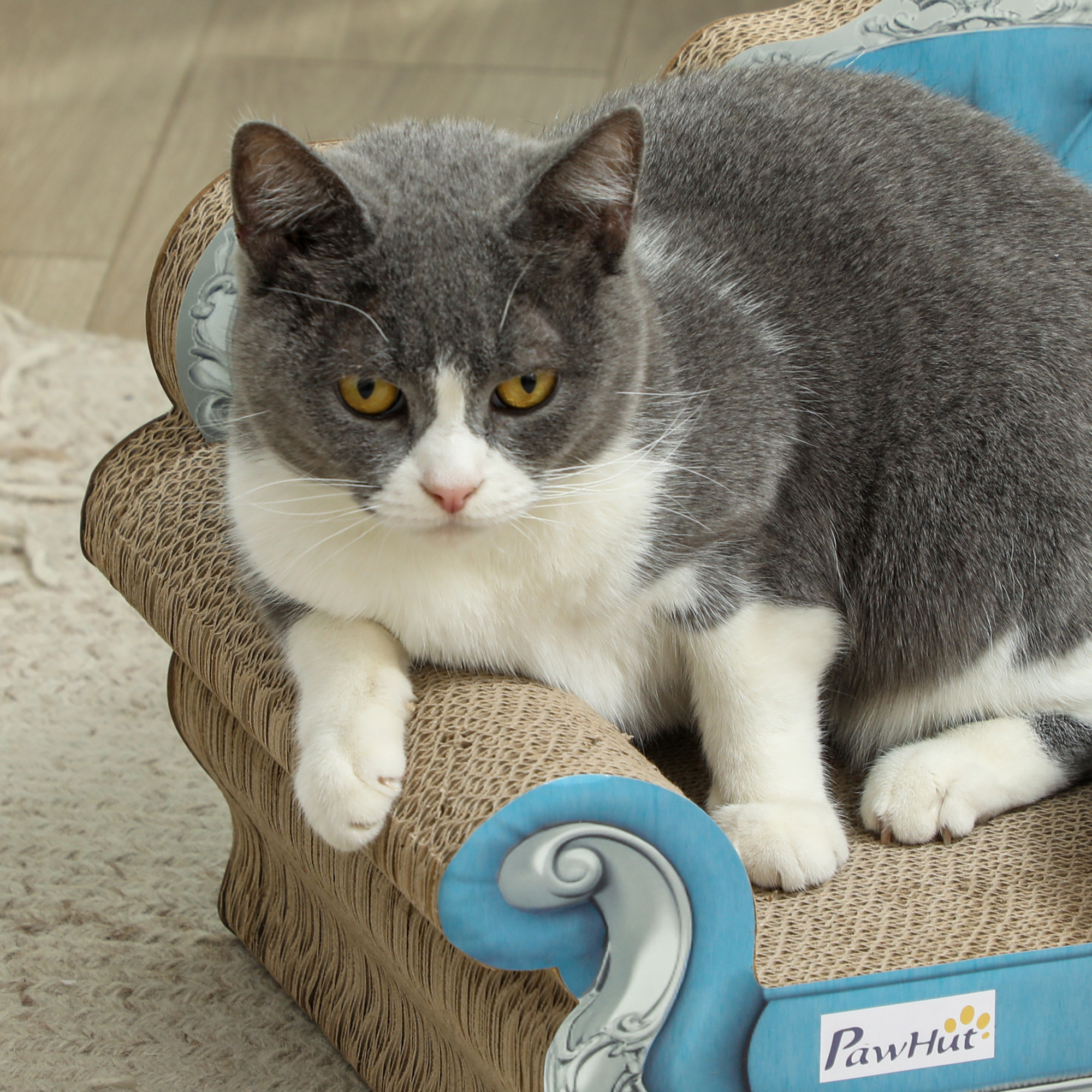 2-in-1 Cat Scratcher With Catnip For Indoor Cats,Light Blue — image 5