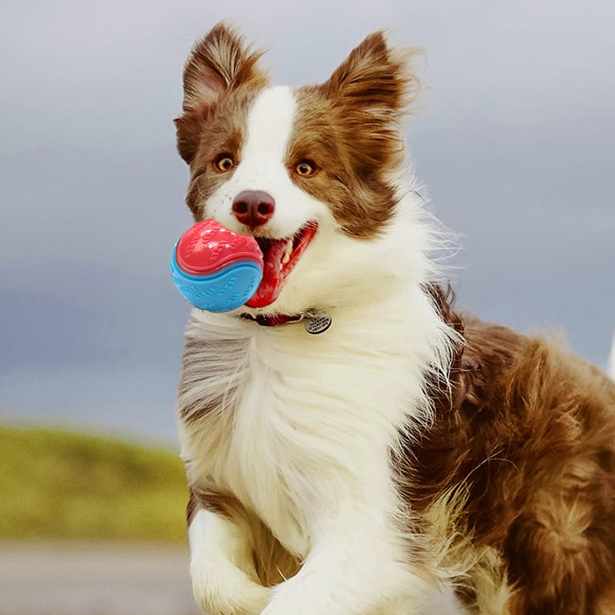 8X Scooby-Doo Squeaky Set Dog Balls For Teeth Cleaning Interactive — image 5