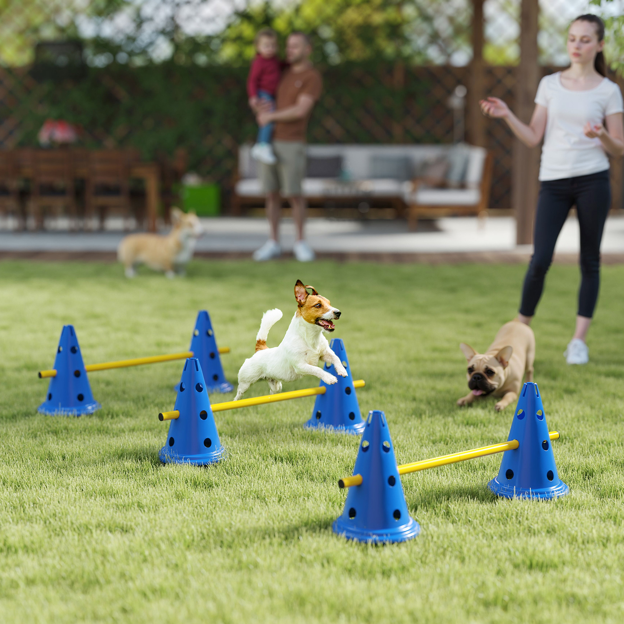Dog Agility Equipment Set Of Six Cones,Six Poles With Carry Bag,Three-Piece Adjustable Height Jumping Obstacles,Blue detail photo 9