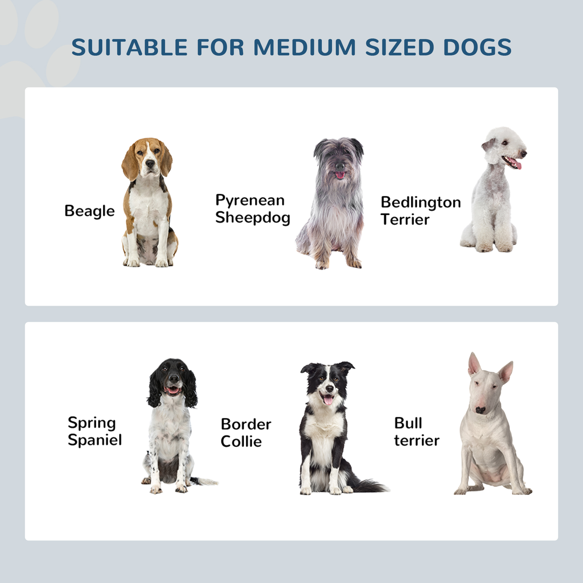 Raised Dog Feeding Bowls With Stand Grey [Medium]