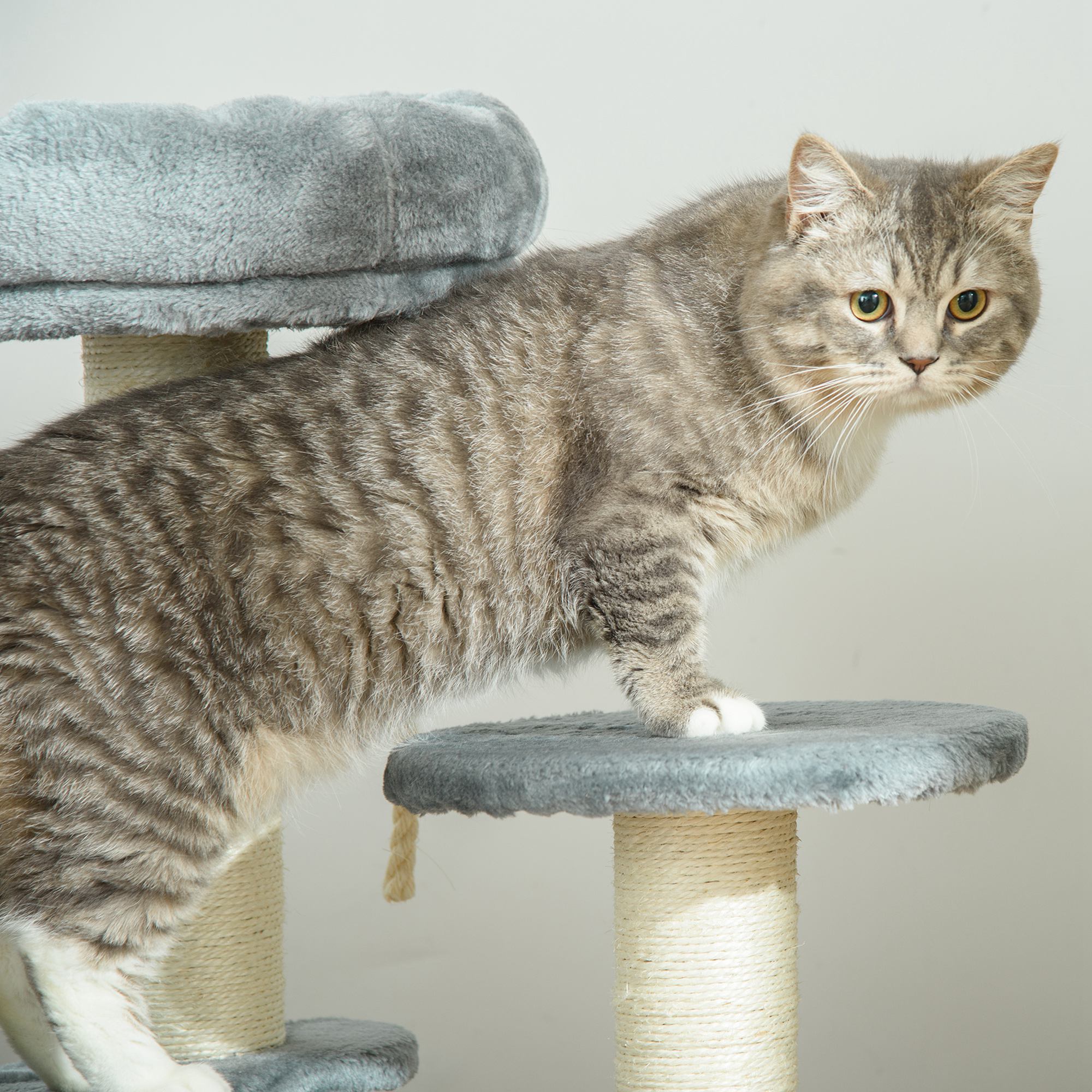 65cm Cat Tree,Cat Tower For Kittens,Small Cat Condo