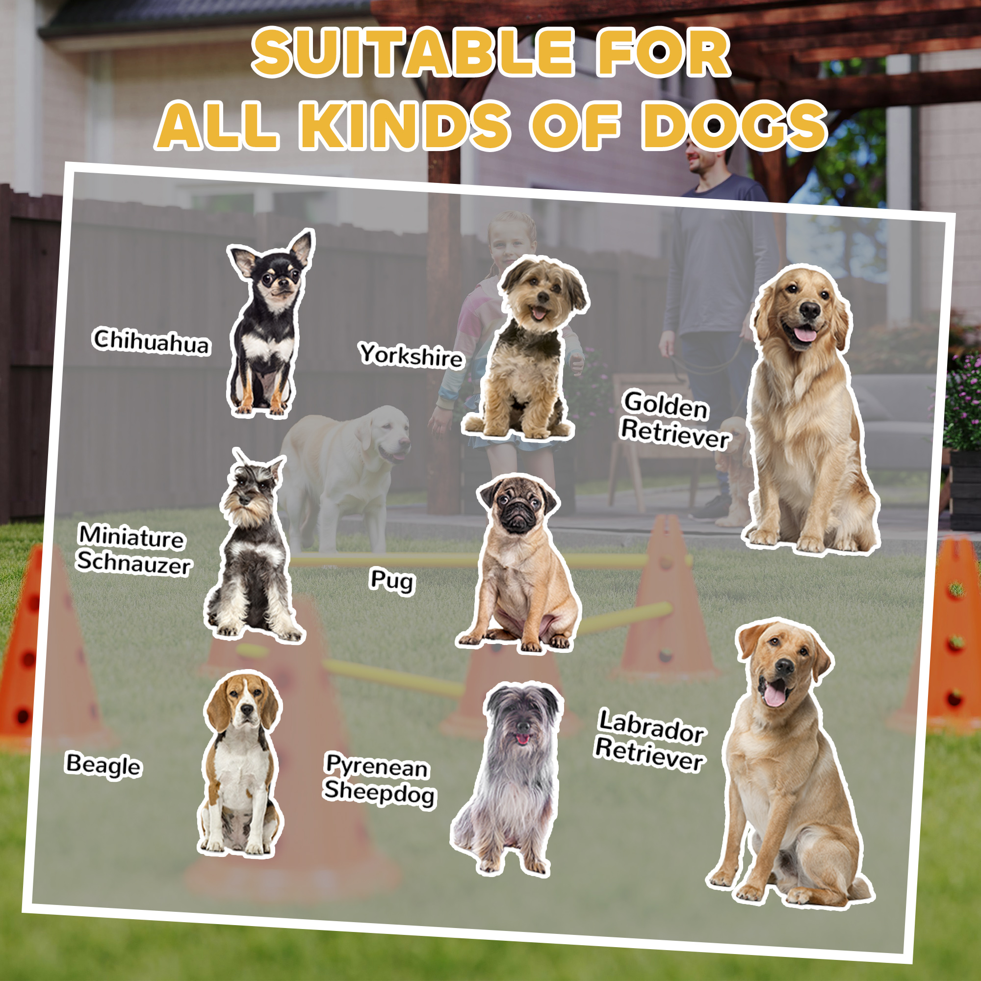 Dog Agility Equipment Set Of Six Cones,Six Poles With Carry Bag,Three-Piece