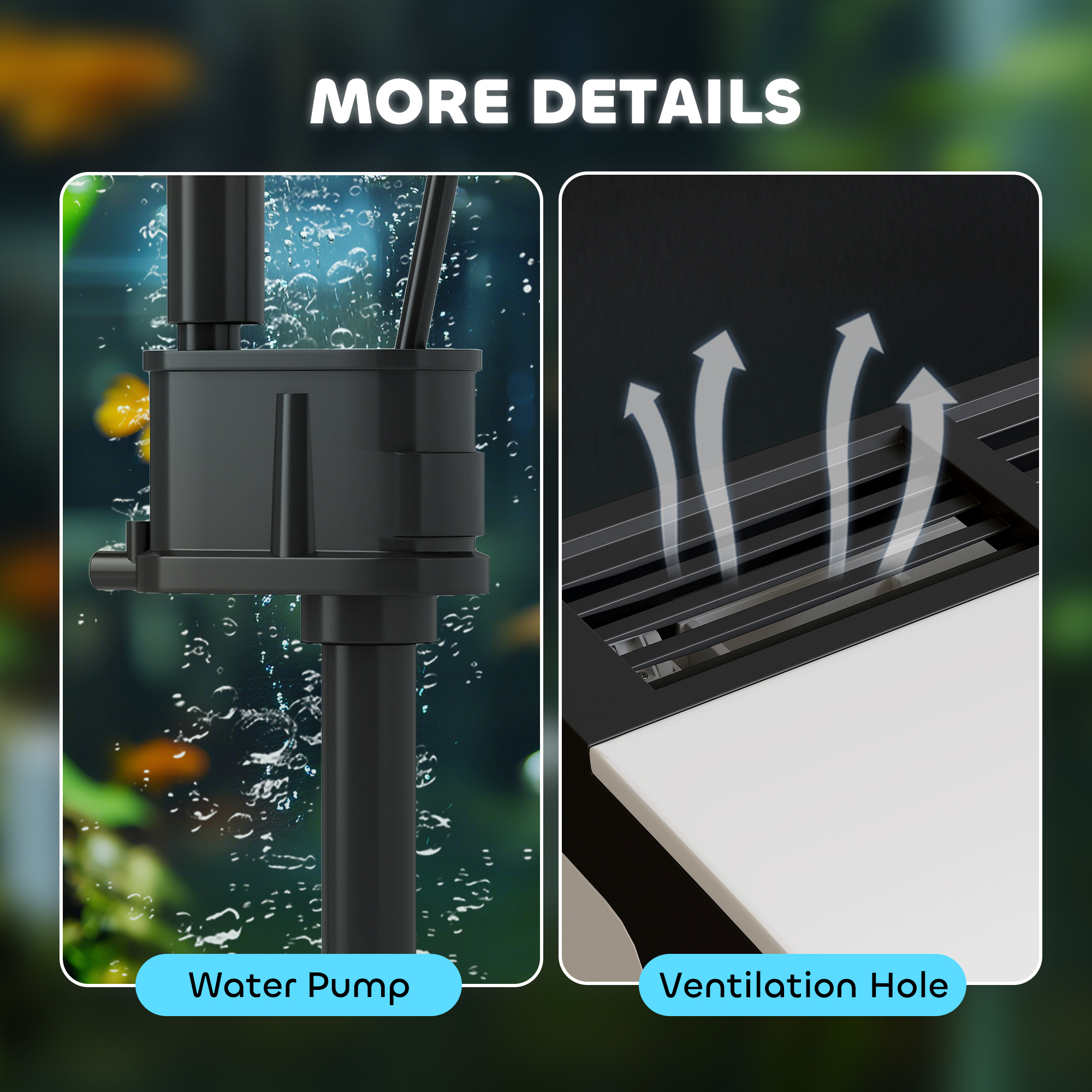 13 Liter Glass Fish Tank With Filter And LED Light,