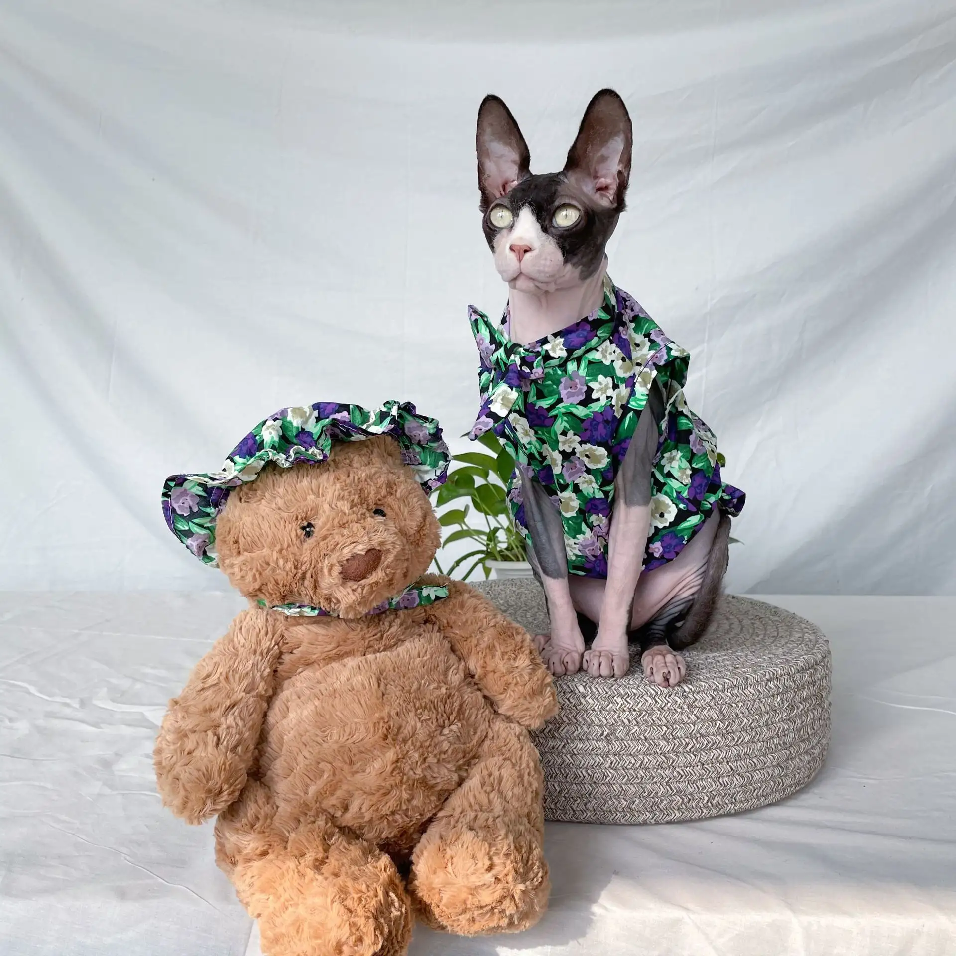 Cat Clothes Summer Thin Floral Dress Sphinx